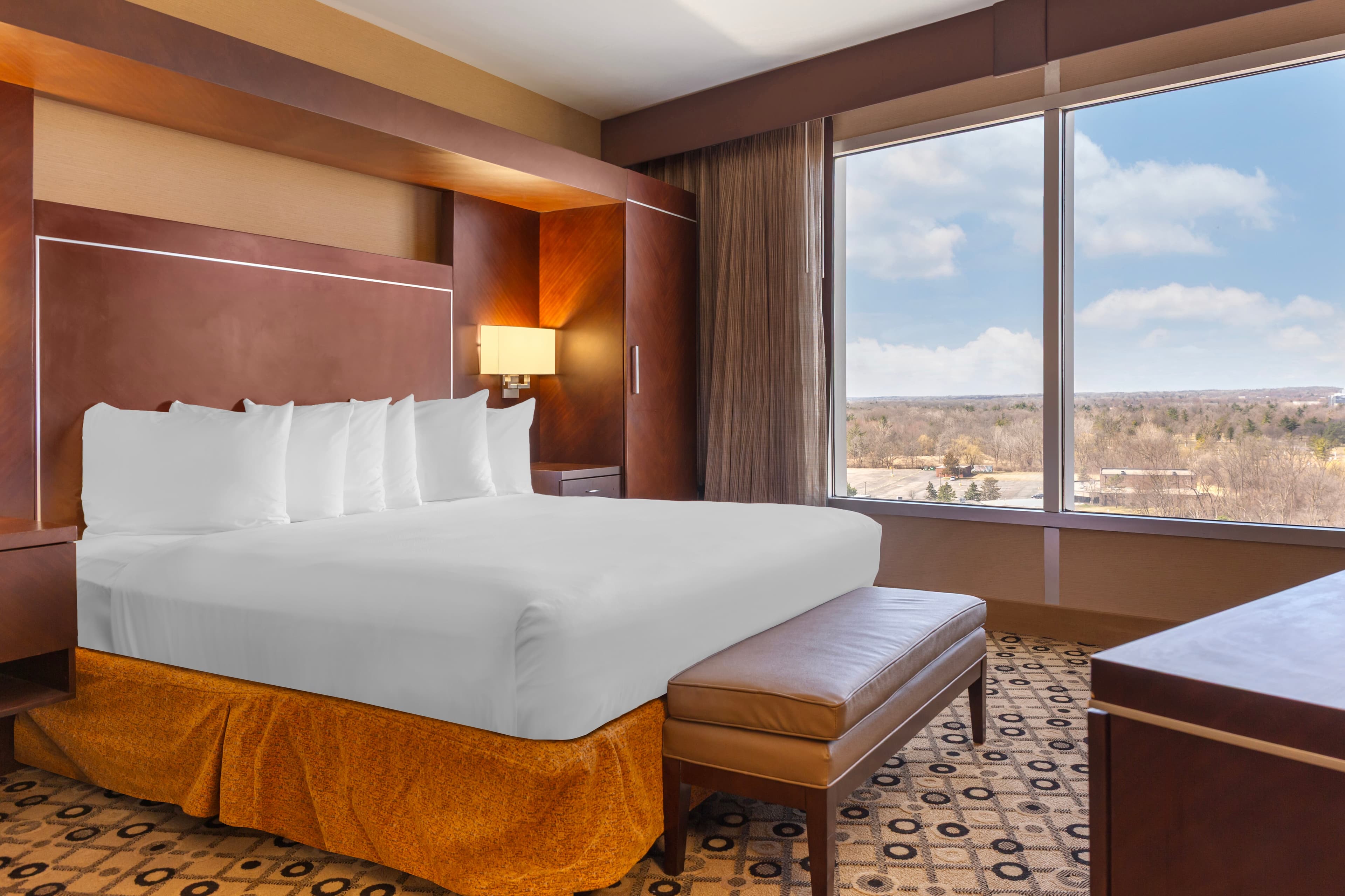 Radisson Hotel Southfield-Detroit — 22