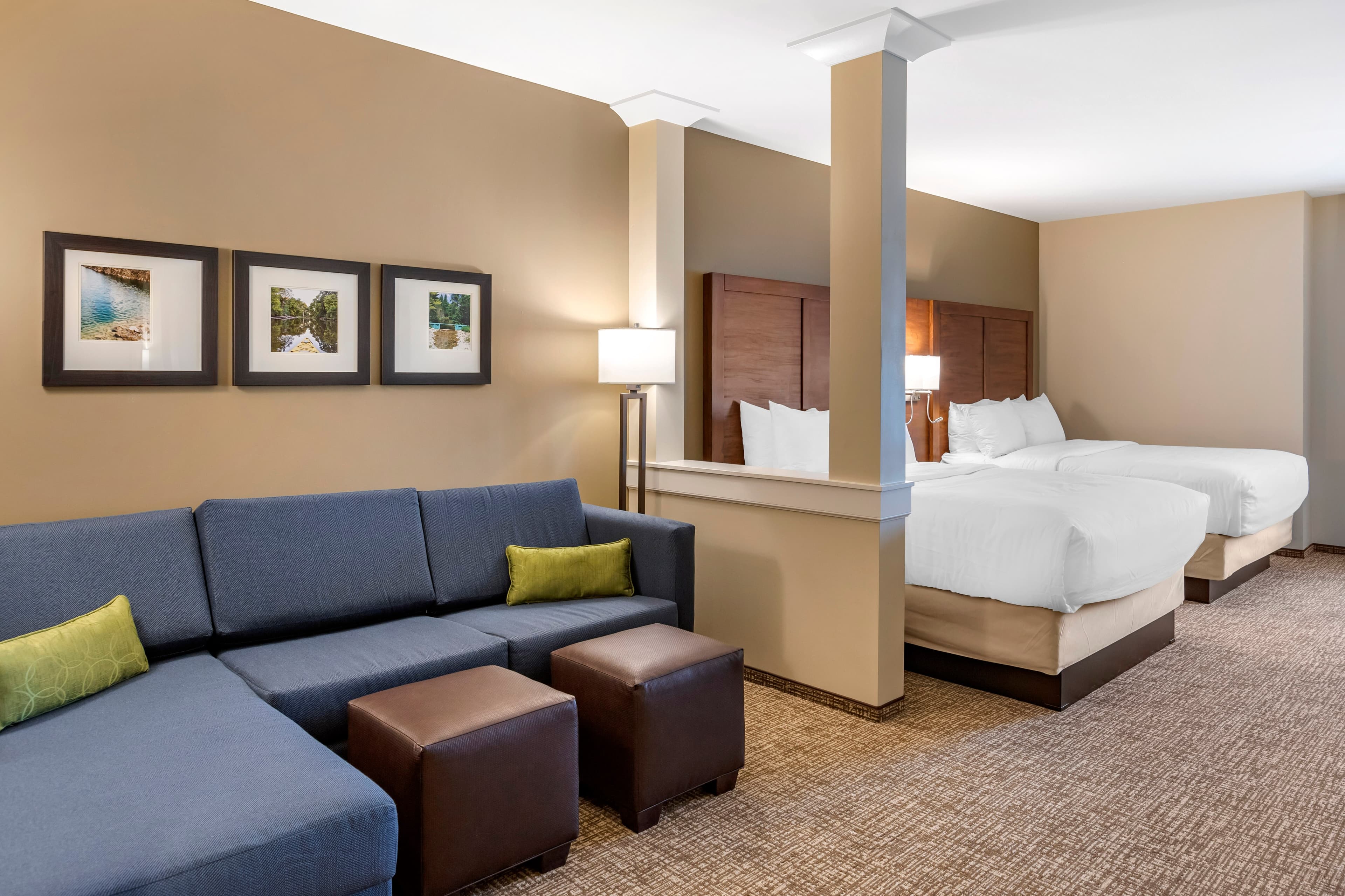 Comfort Inn & Suites Clarkston Pine Knob Area — 30