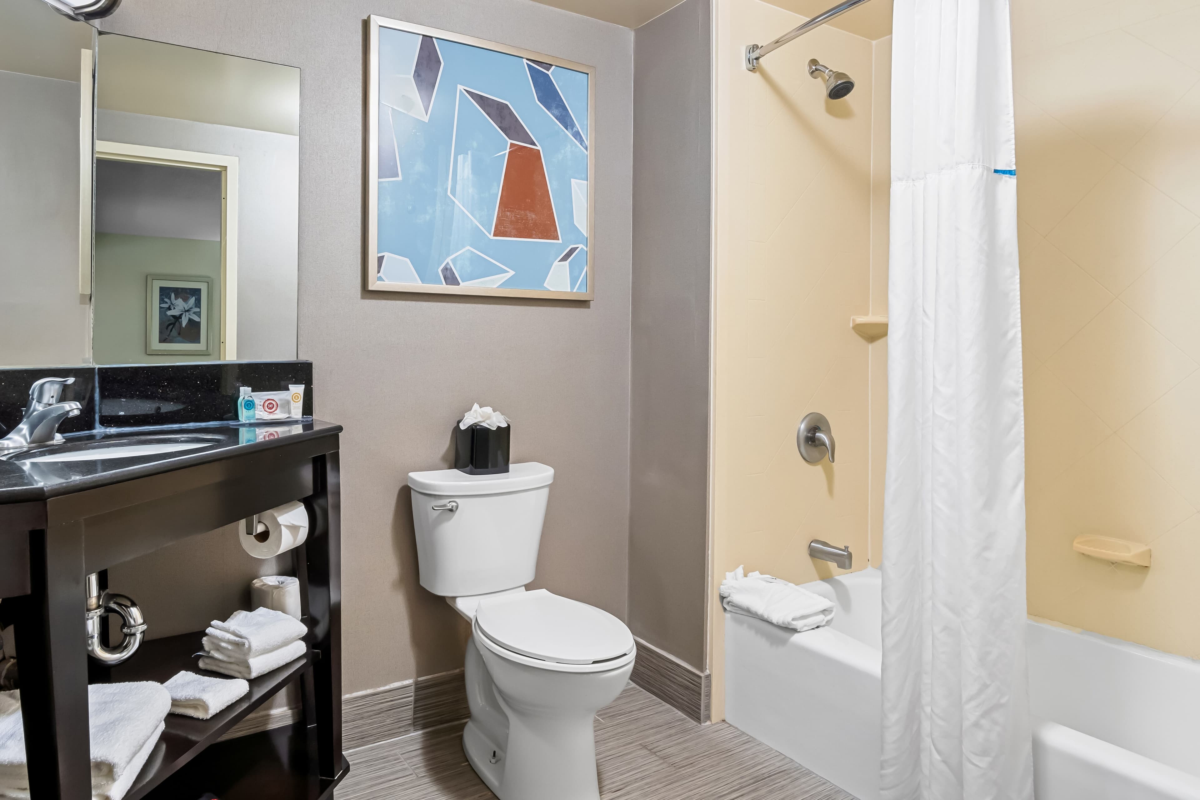 Comfort Inn Cadillac — 13