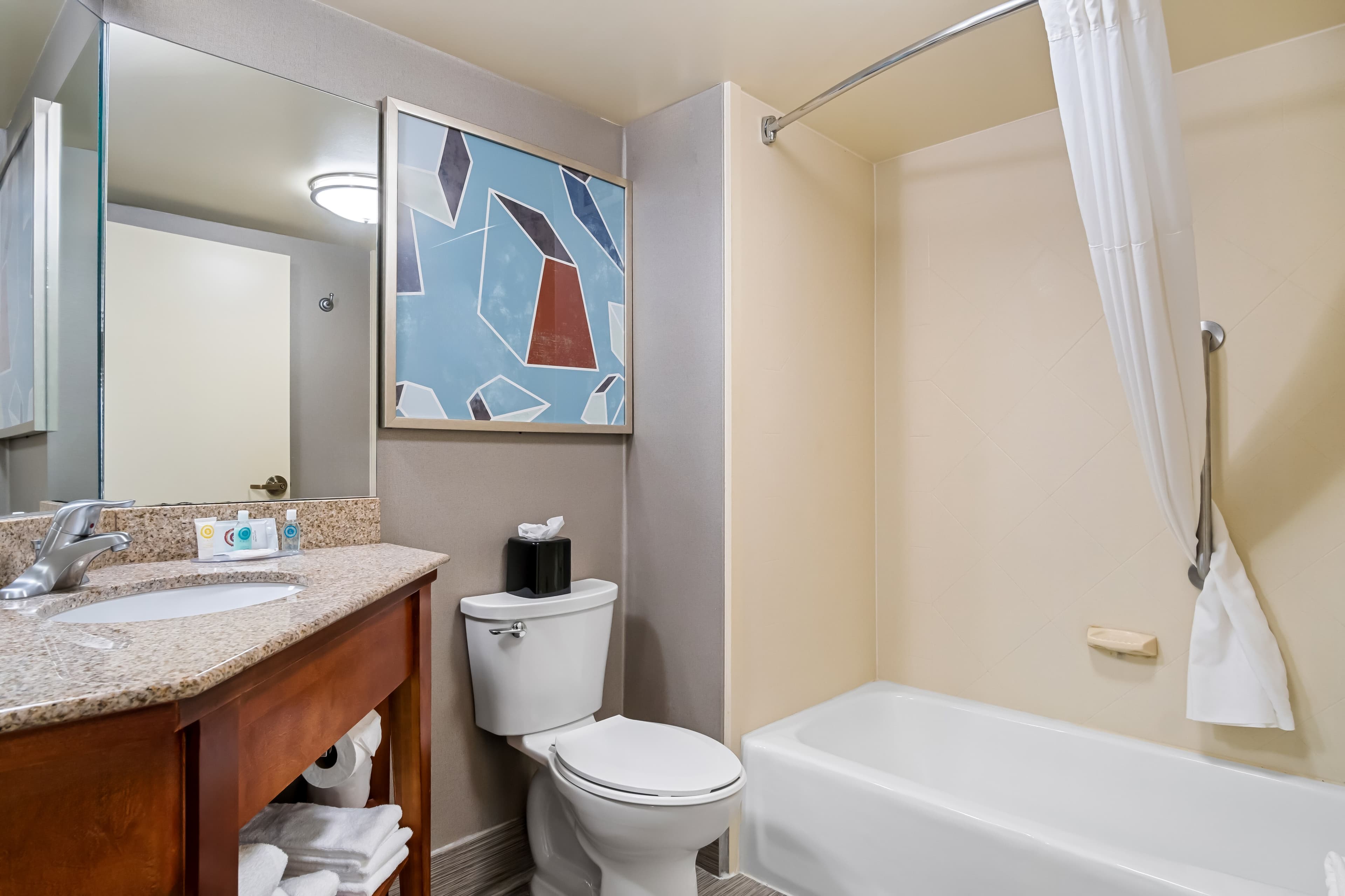 Comfort Inn Cadillac — 21