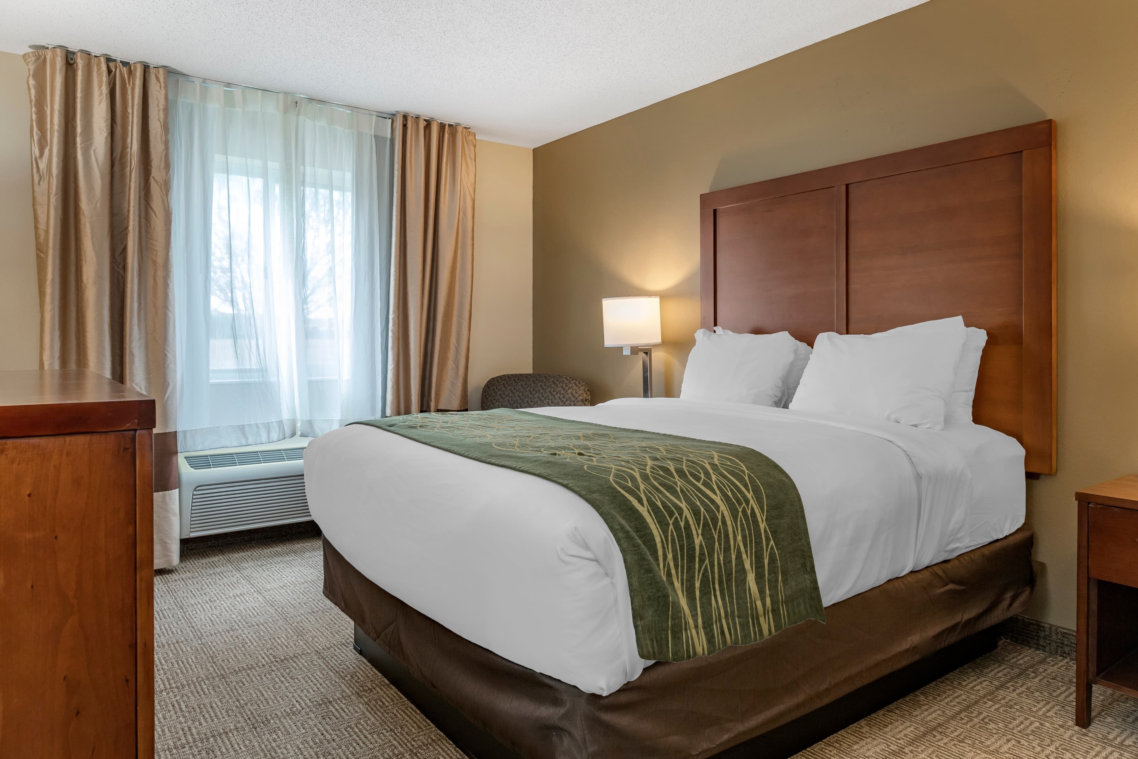 Comfort Inn & Suites Dimondale - Lansing - Image 2