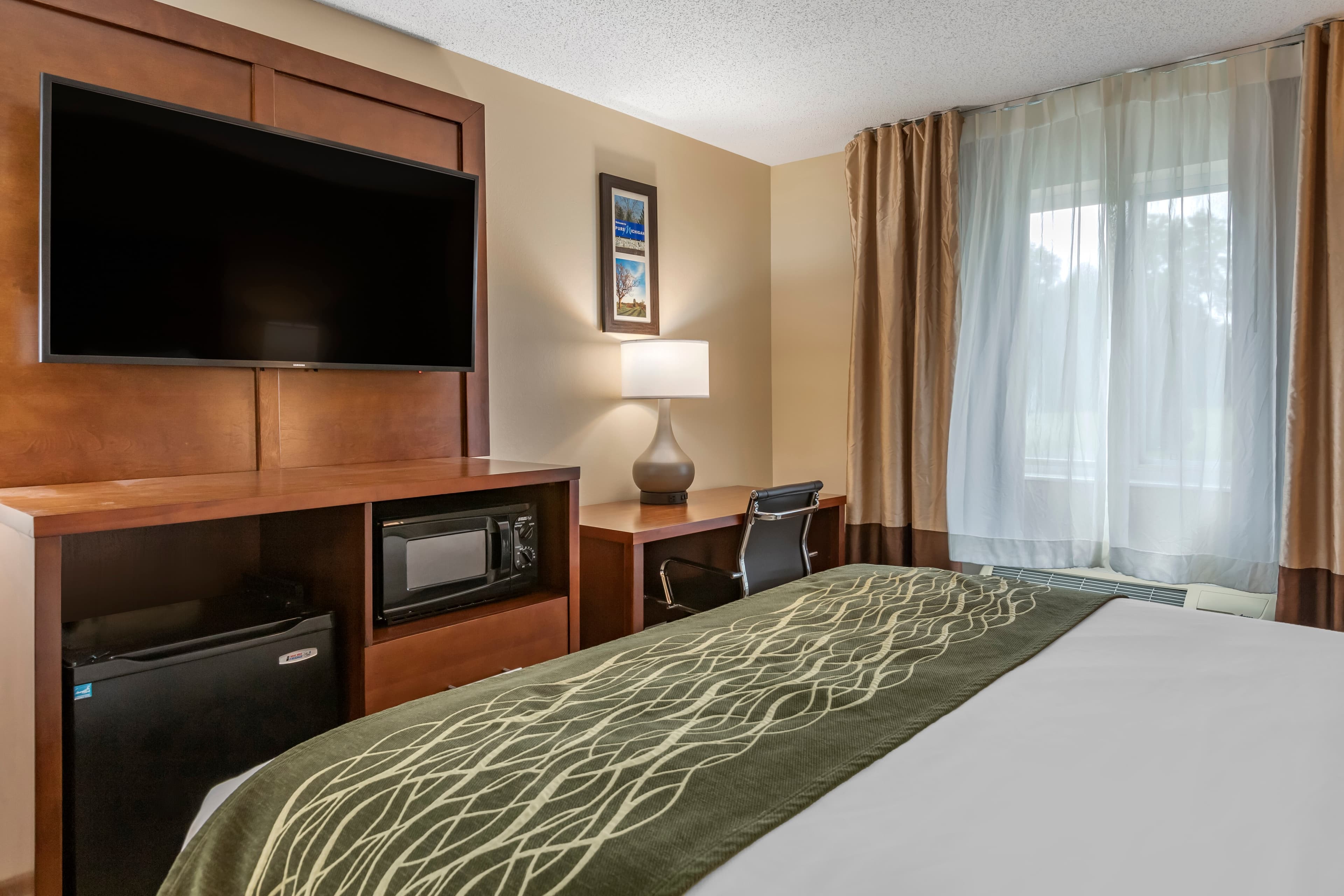 Comfort Inn & Suites Dimondale - Lansing - Image 3