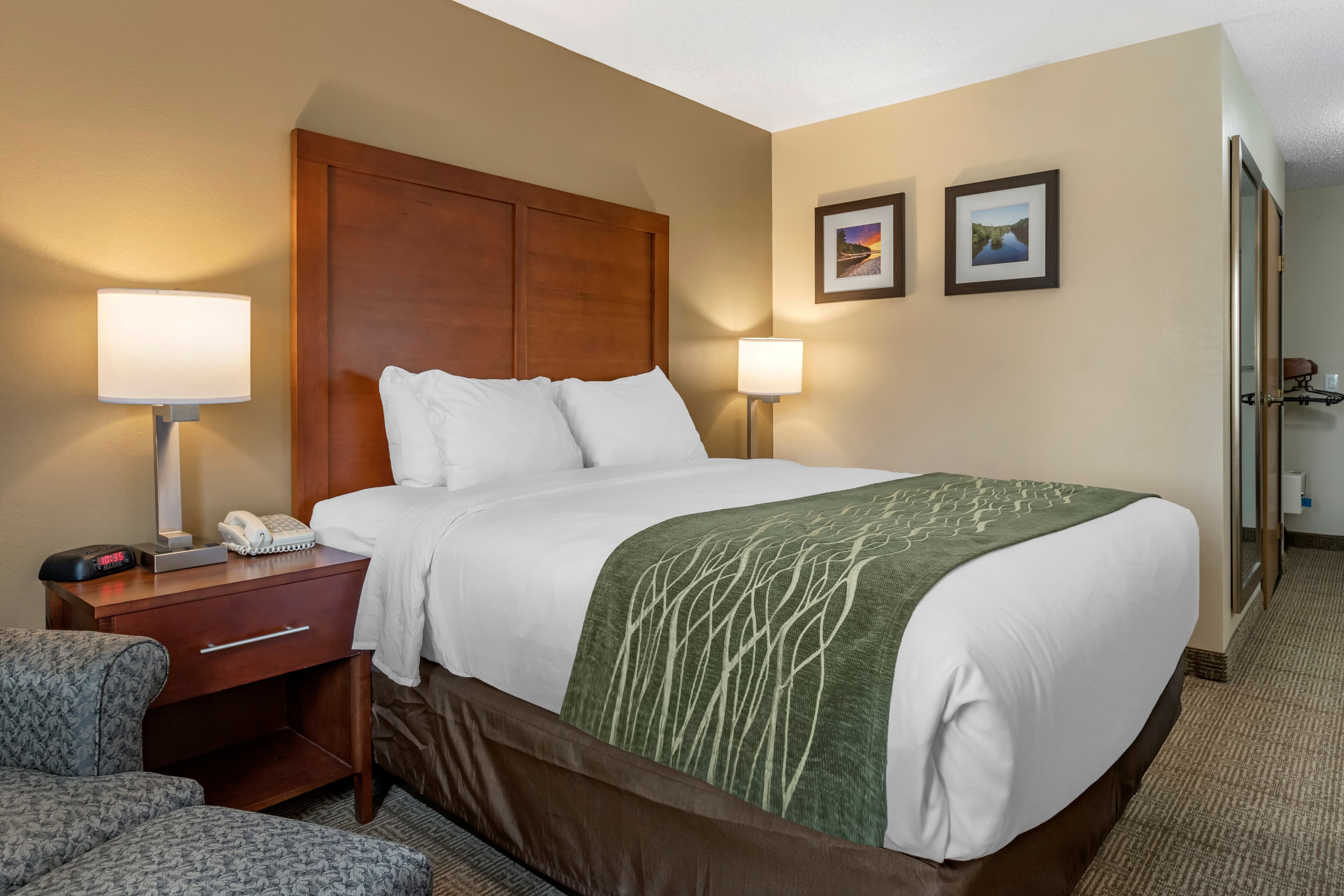 Comfort Inn & Suites Dimondale - Lansing - Image 4