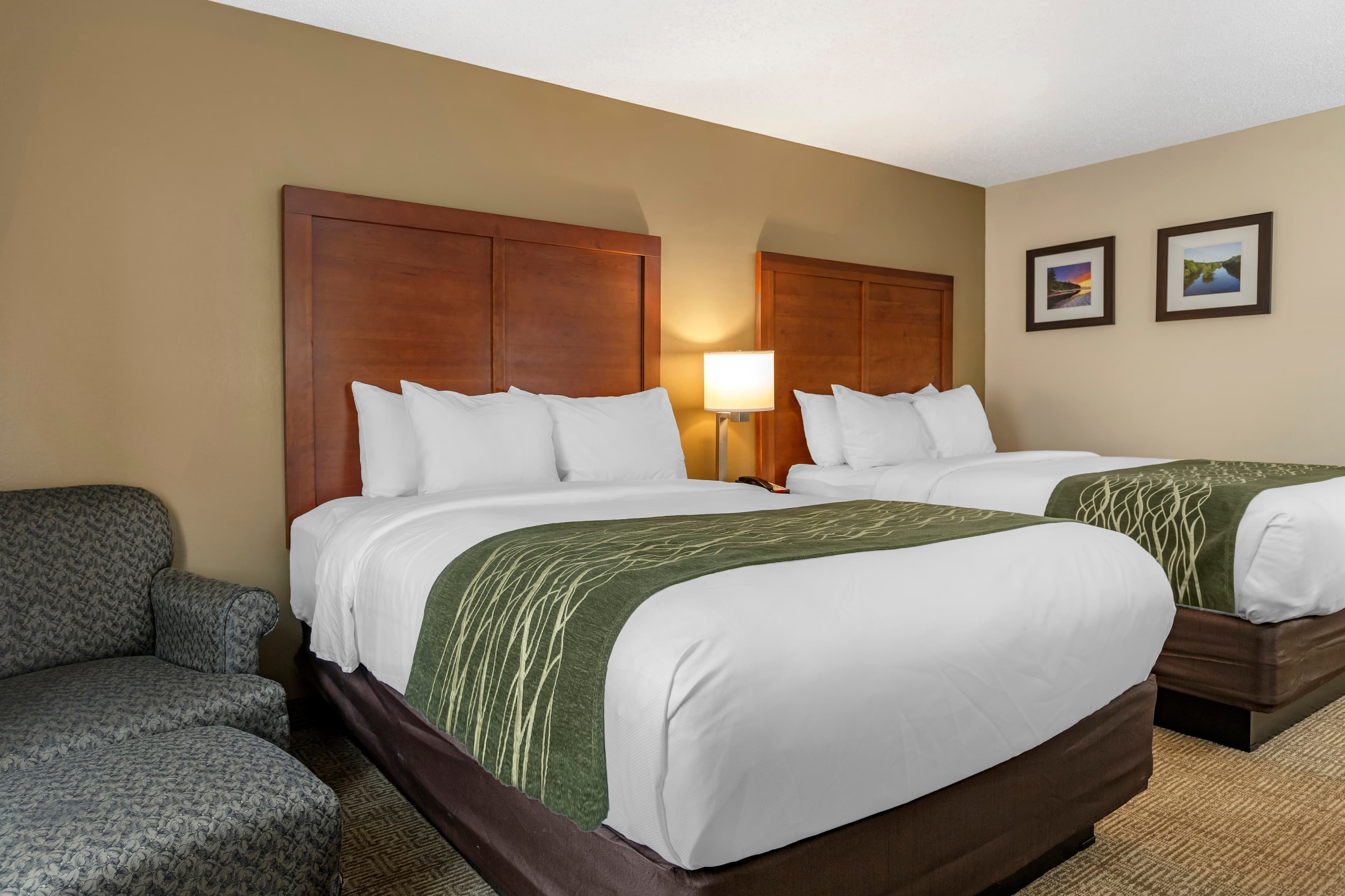 Comfort Inn & Suites Dimondale - Lansing — 10