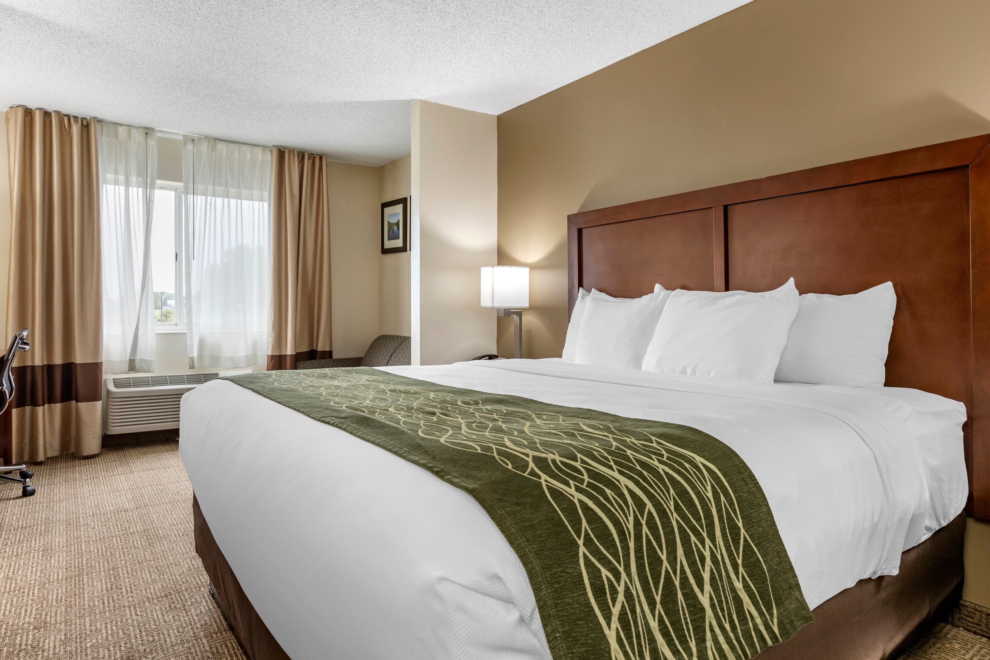 Comfort Inn & Suites Dimondale - Lansing — 13