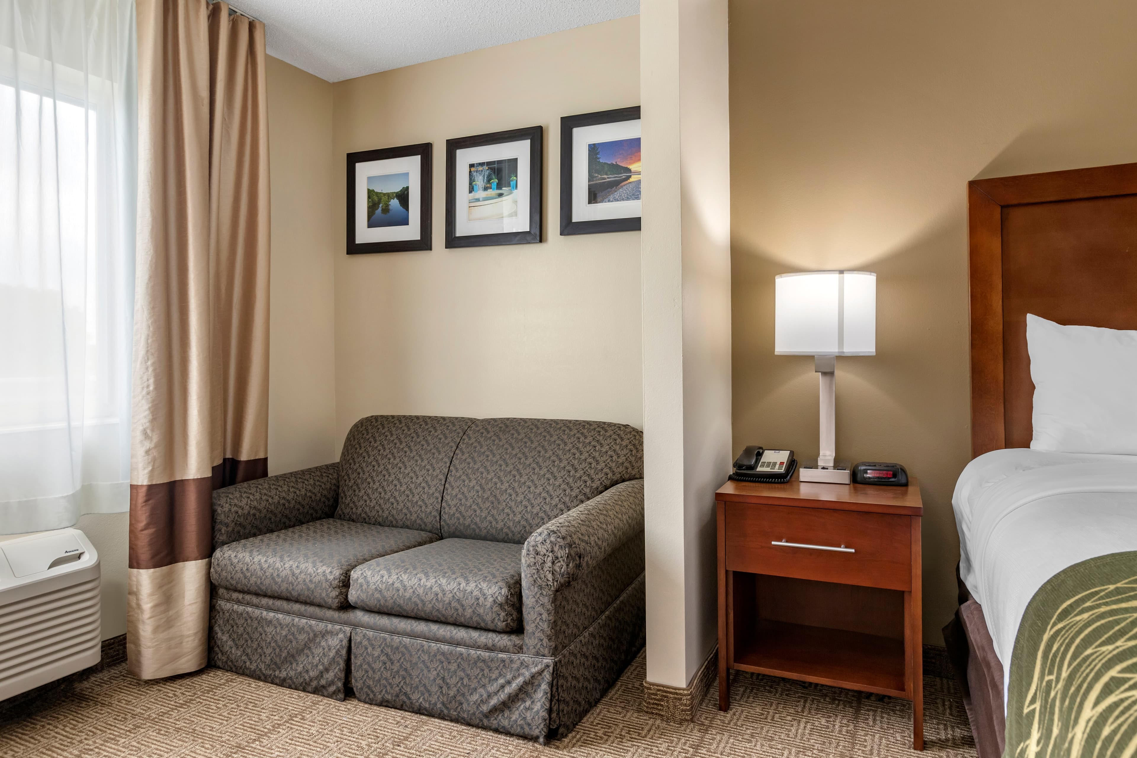 Comfort Inn & Suites Dimondale - Lansing — 15