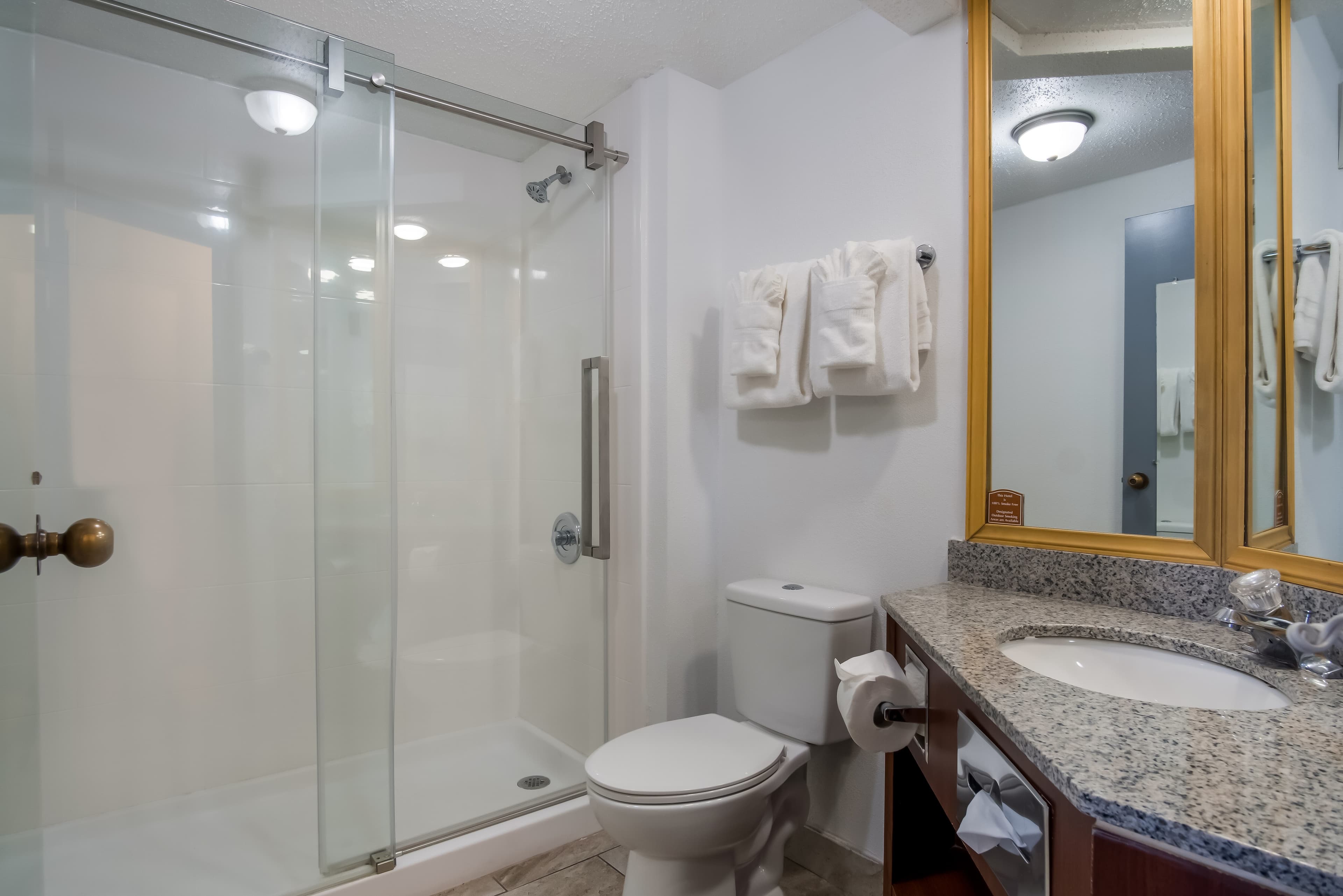 Clarion Inn & Suites Grand Rapids Airport — 13