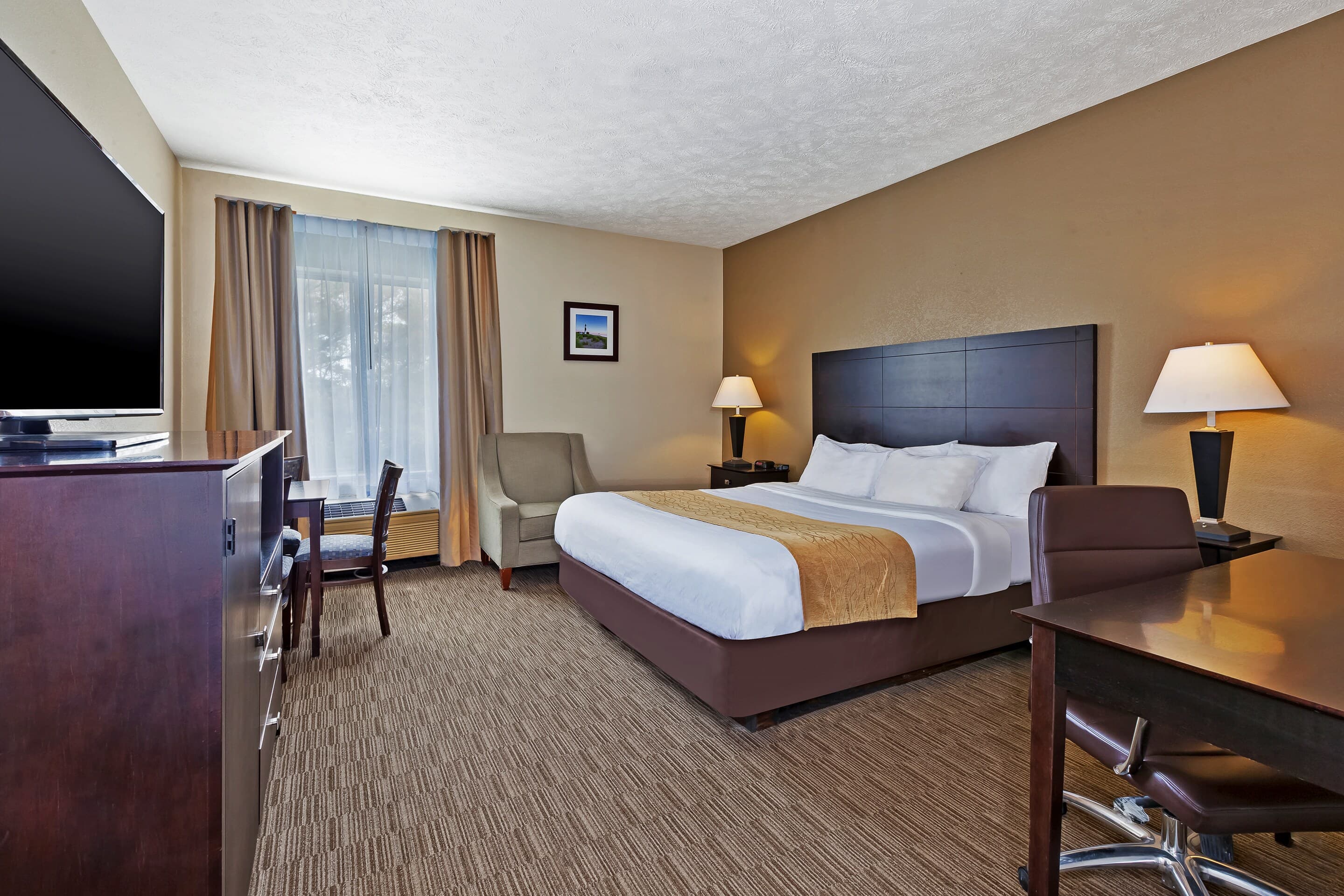 Comfort Inn Whitehall near Michigan's Adventure - Image 5