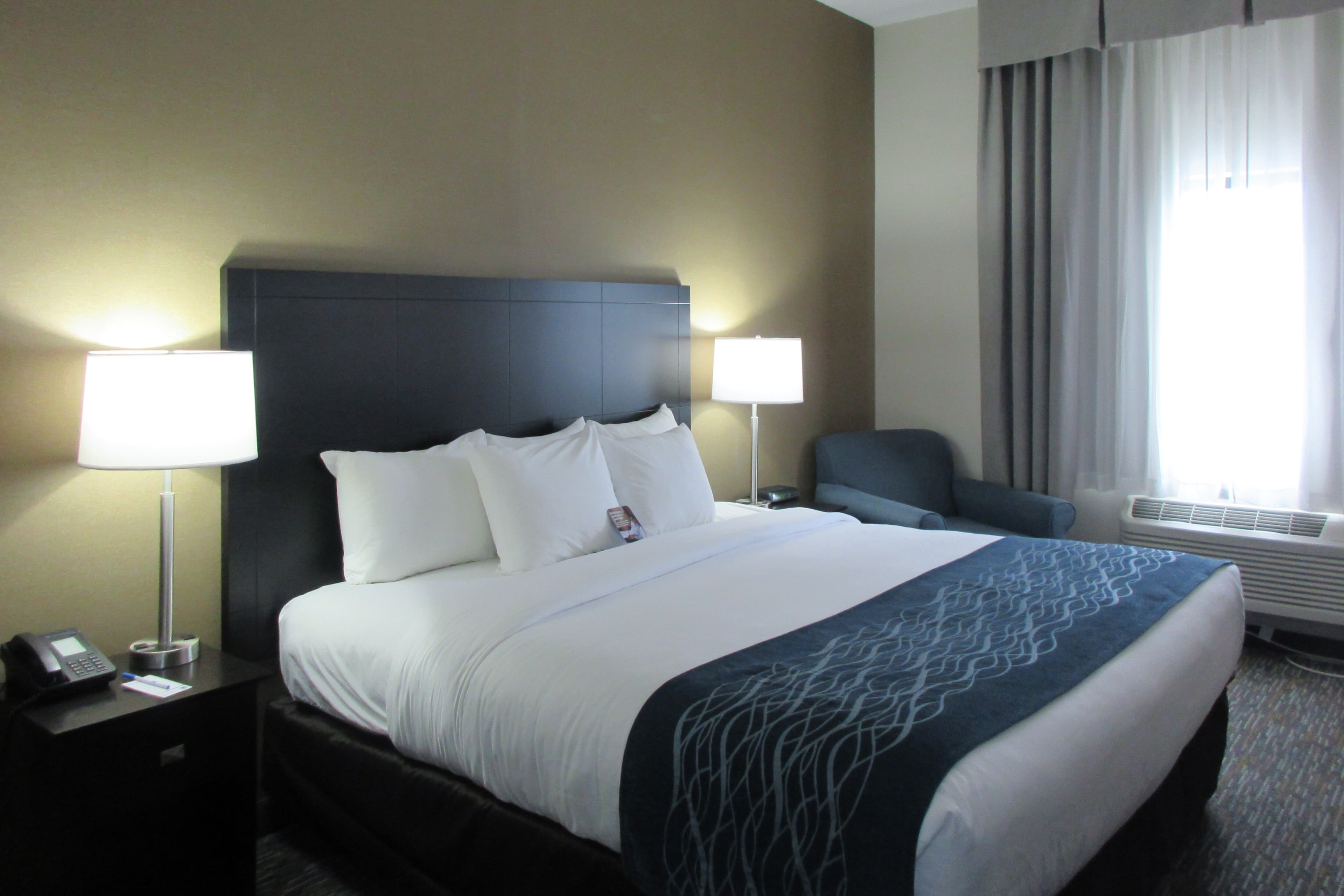 Comfort Inn Port Huron - Image 1