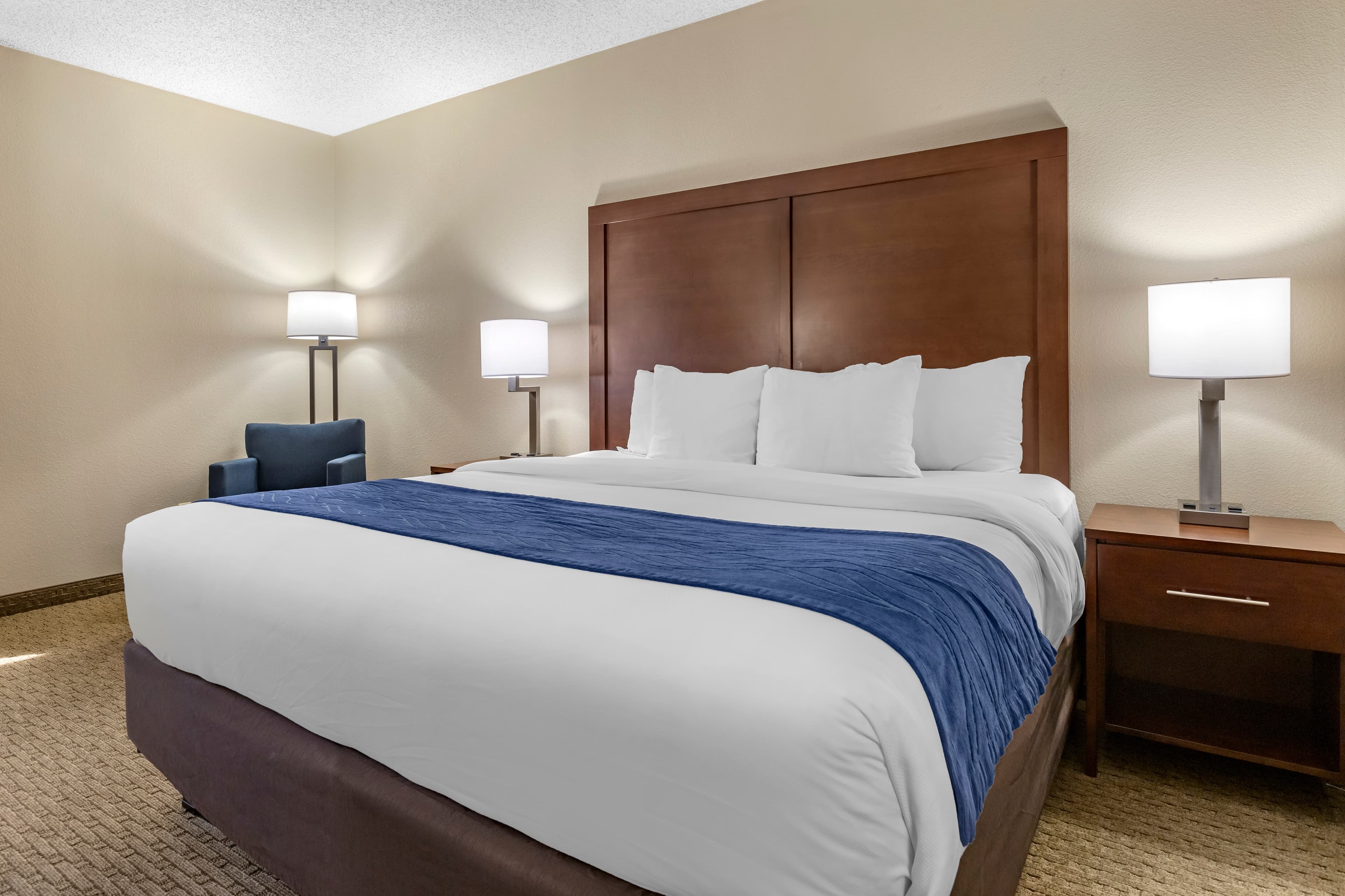 Comfort Inn Near Greenfield Village — 10