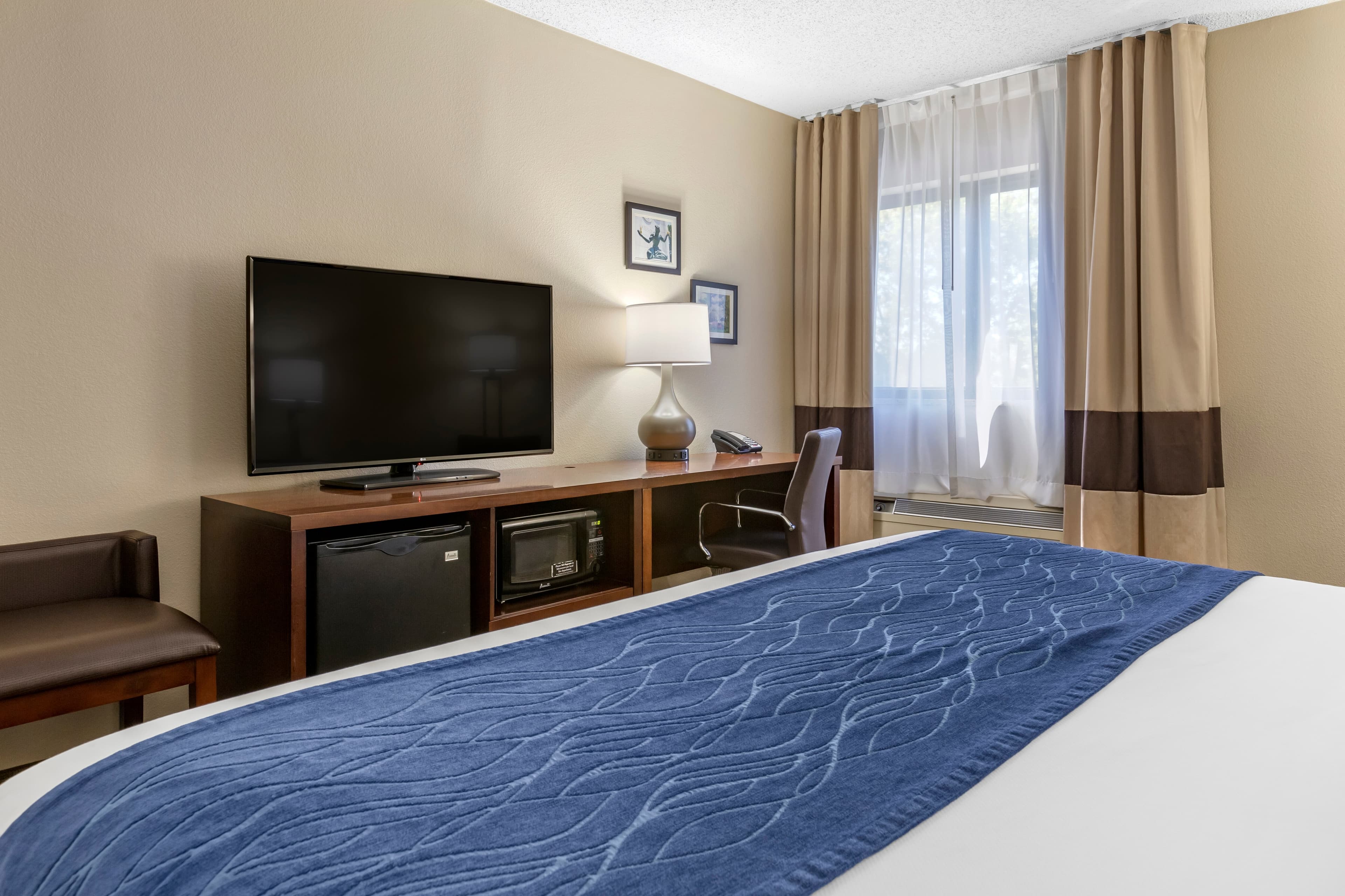 Comfort Inn Near Greenfield Village — 11