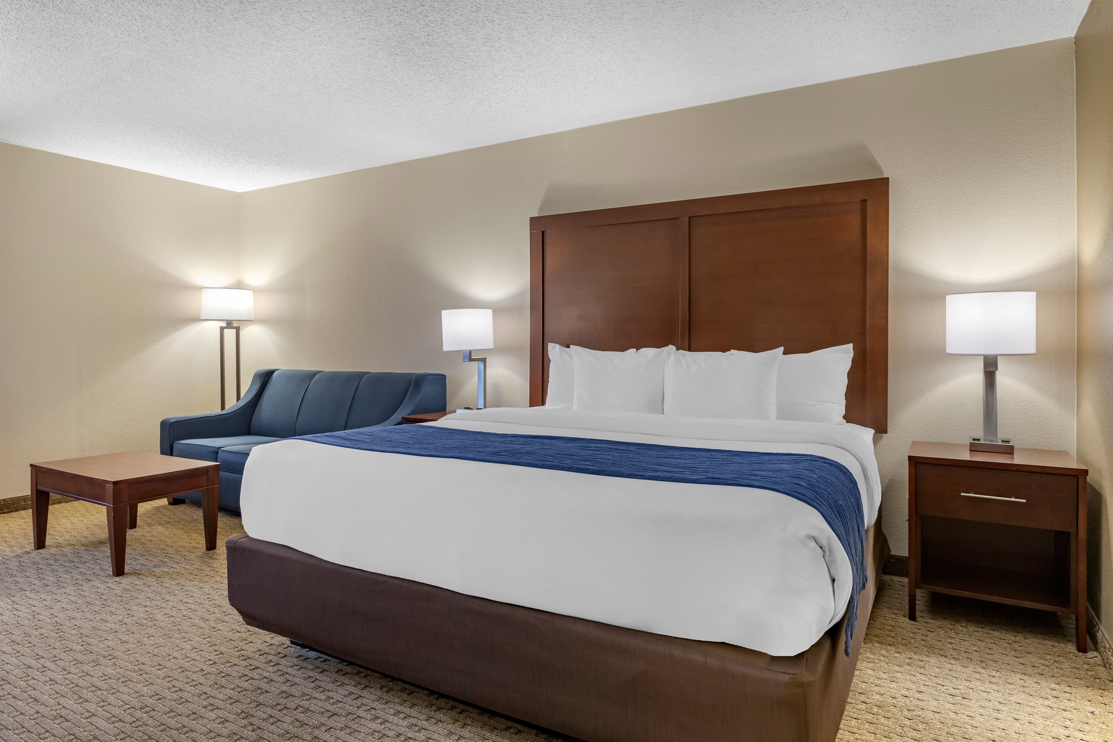 Comfort Inn Near Greenfield Village — 14