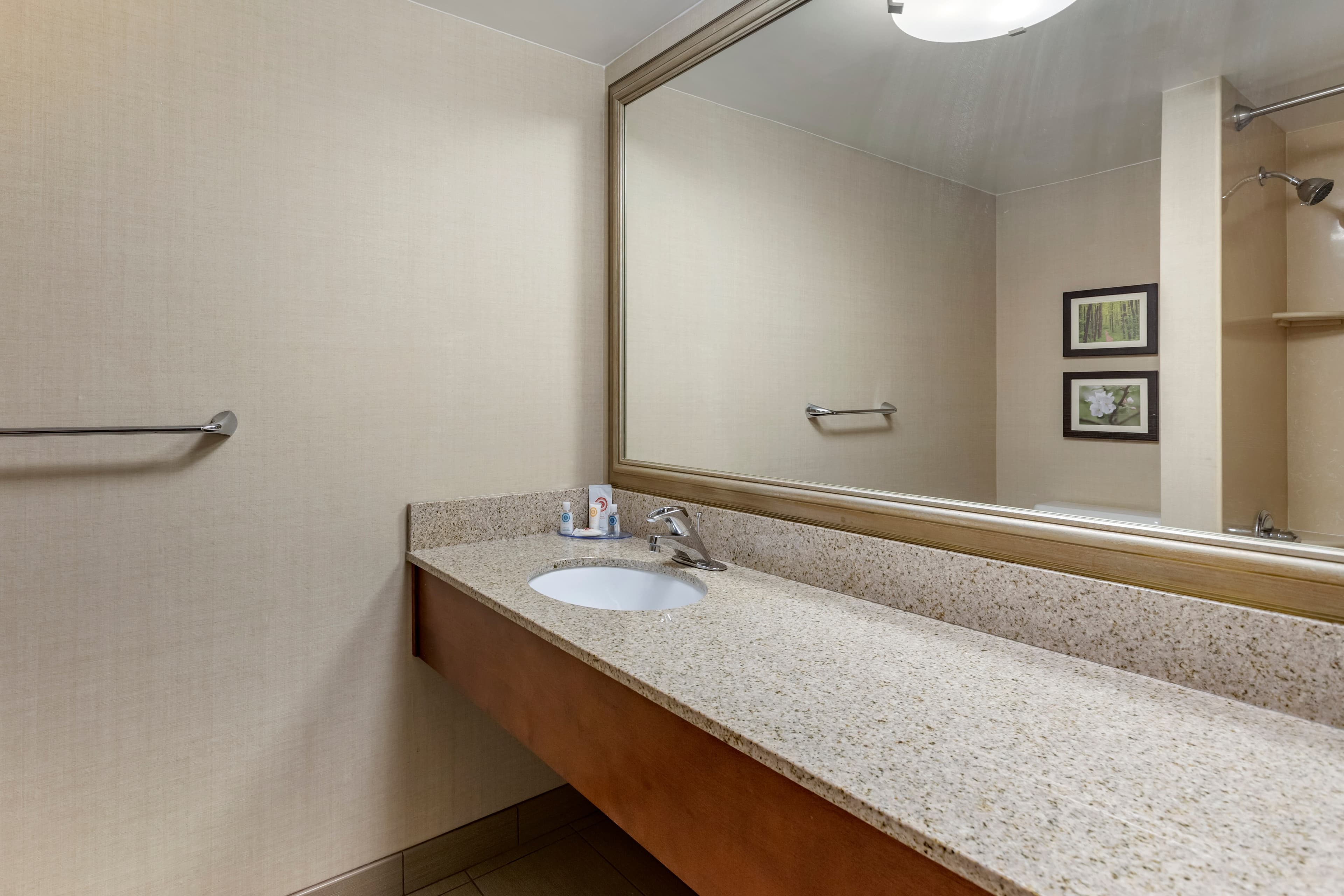 Comfort Inn Lansing West — 12
