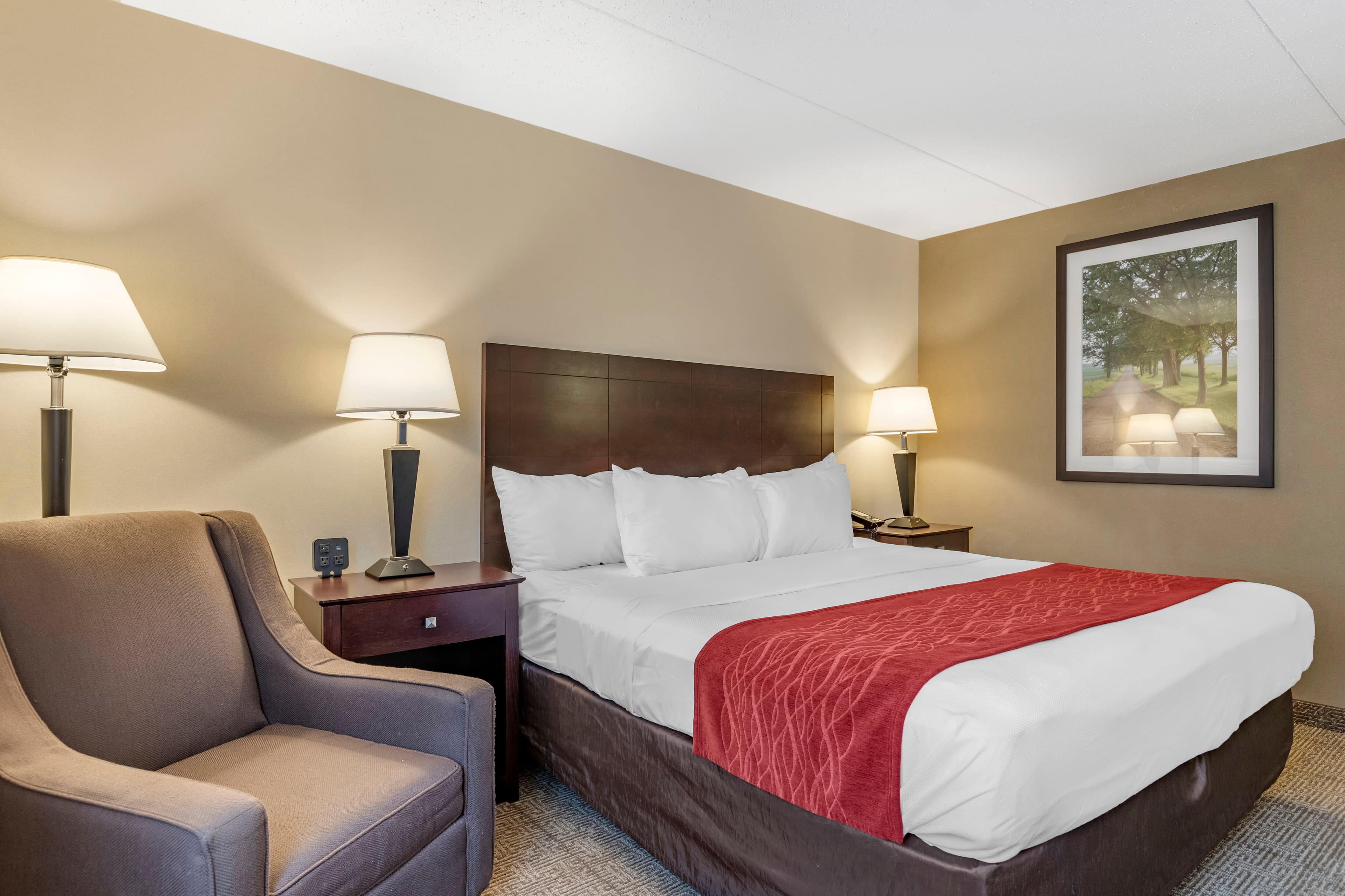Comfort Inn Lansing West — 6