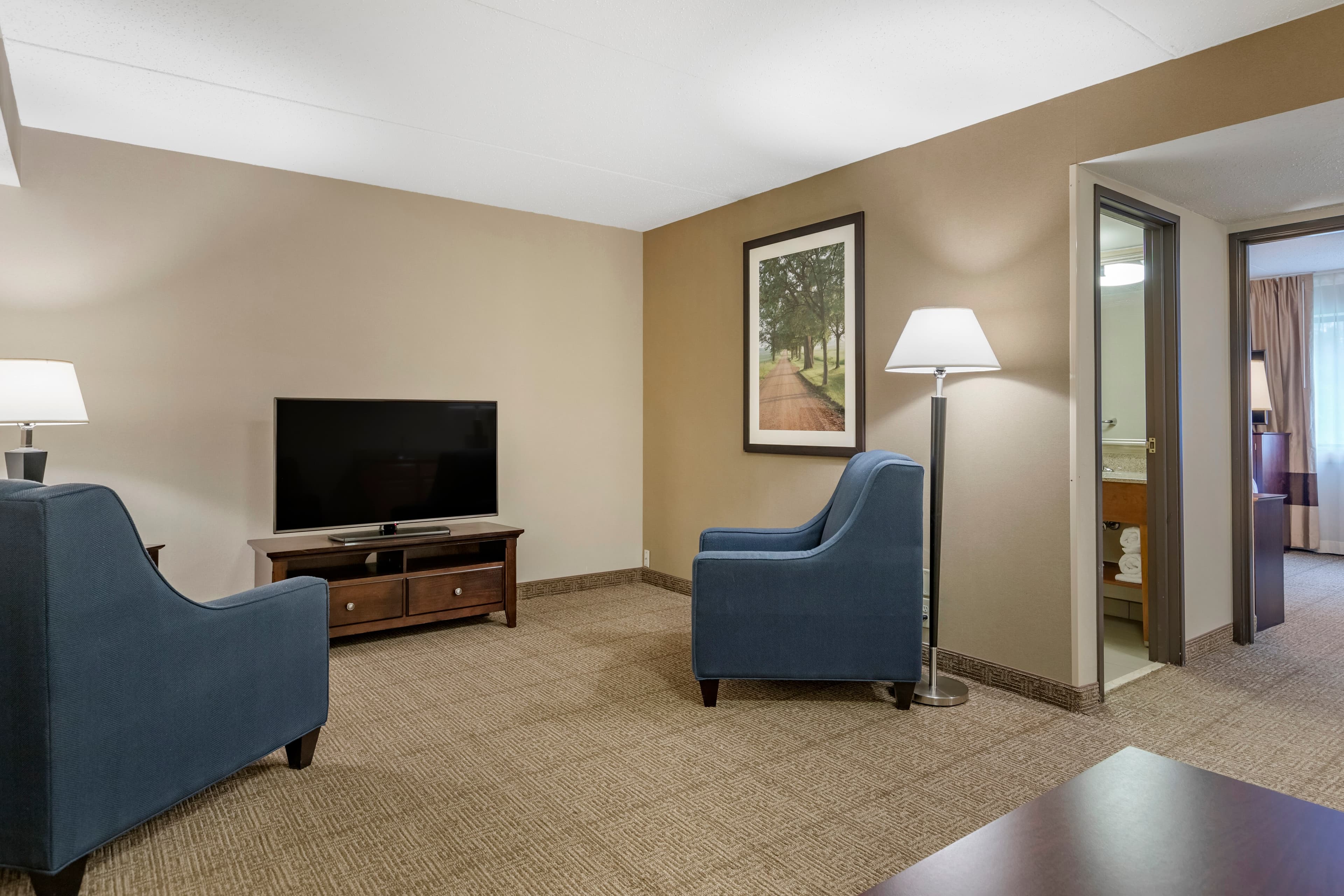 Comfort Inn Lansing West — 32