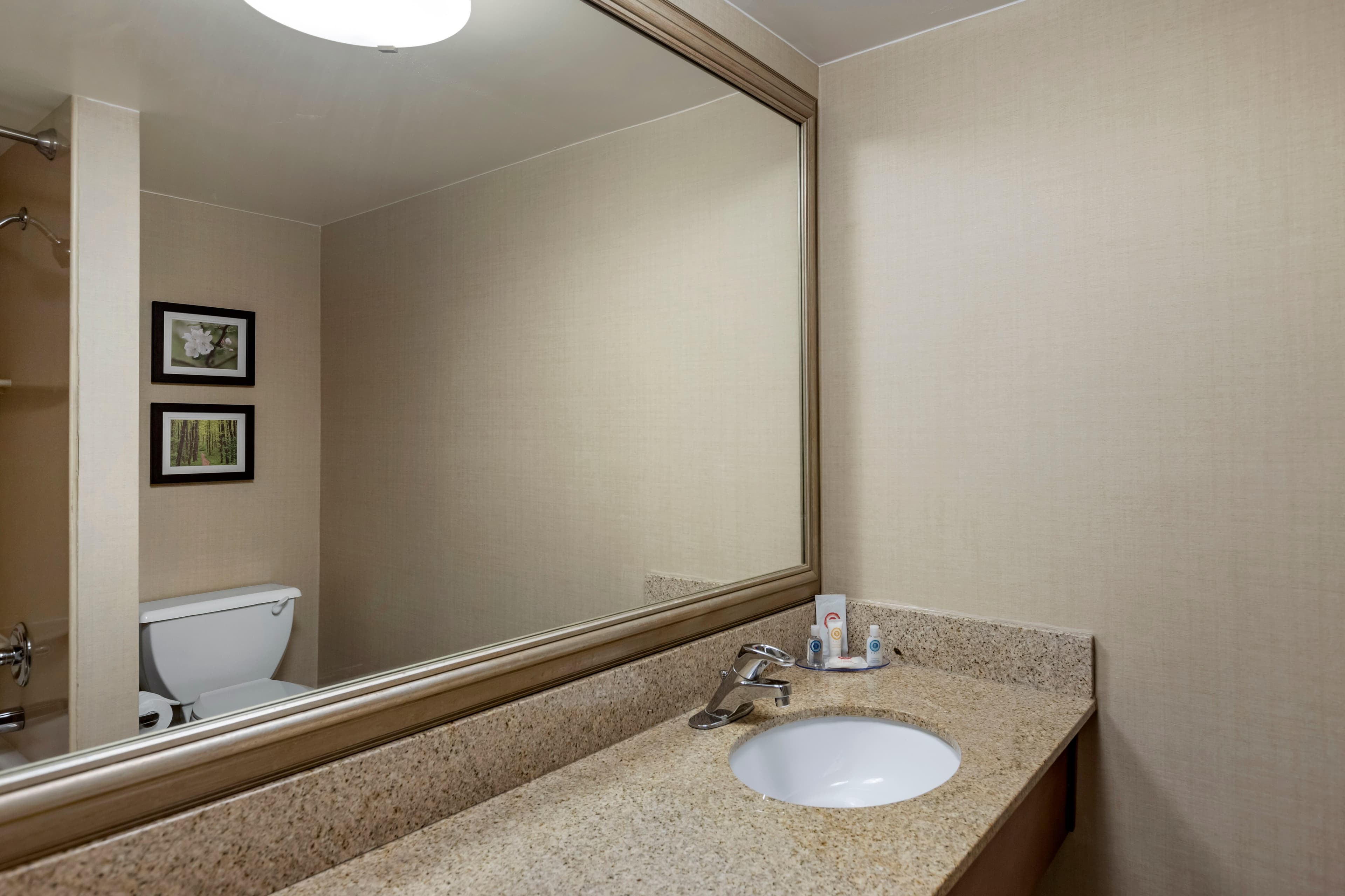 Comfort Inn Lansing West — 8
