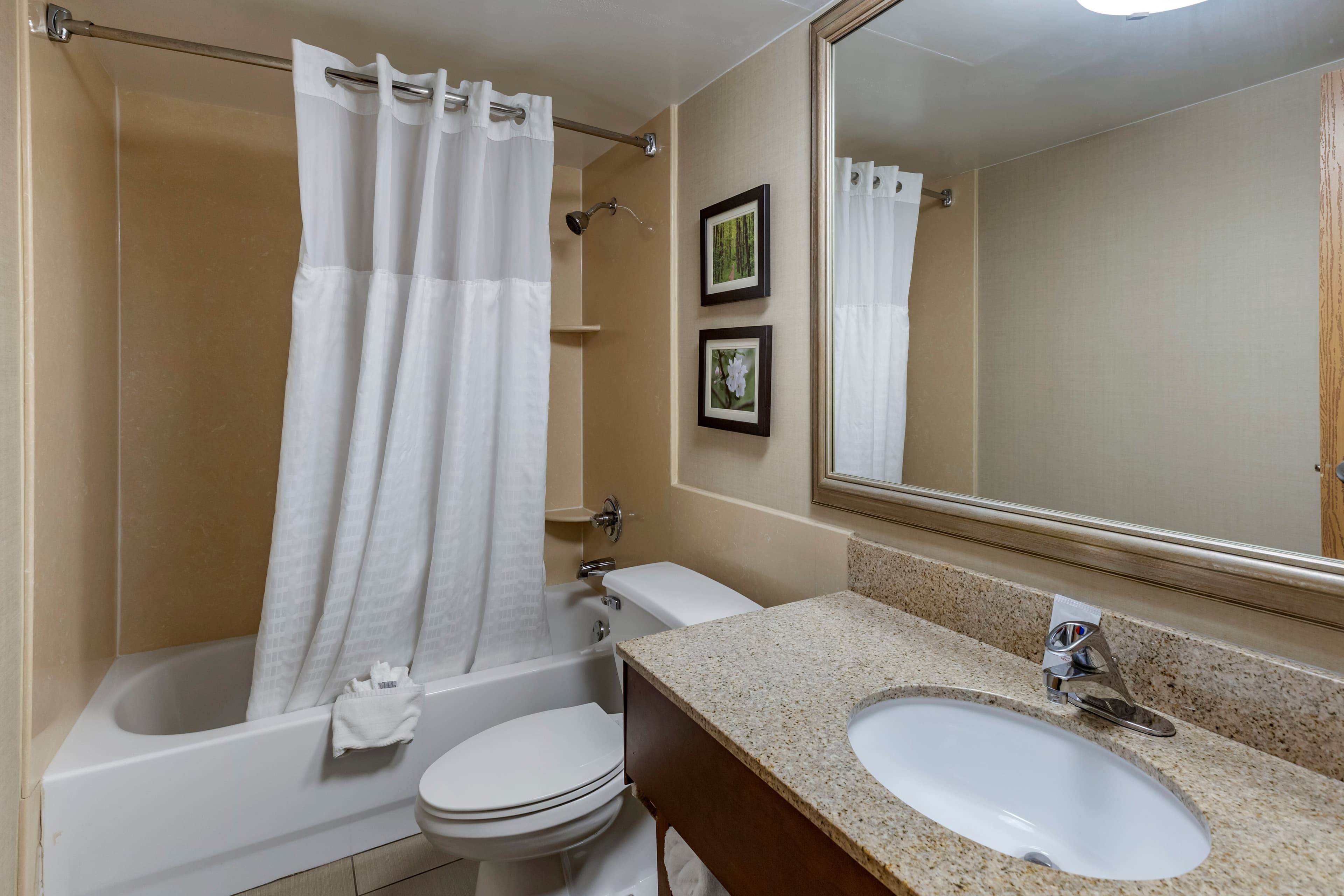 Comfort Inn Lansing West — 25
