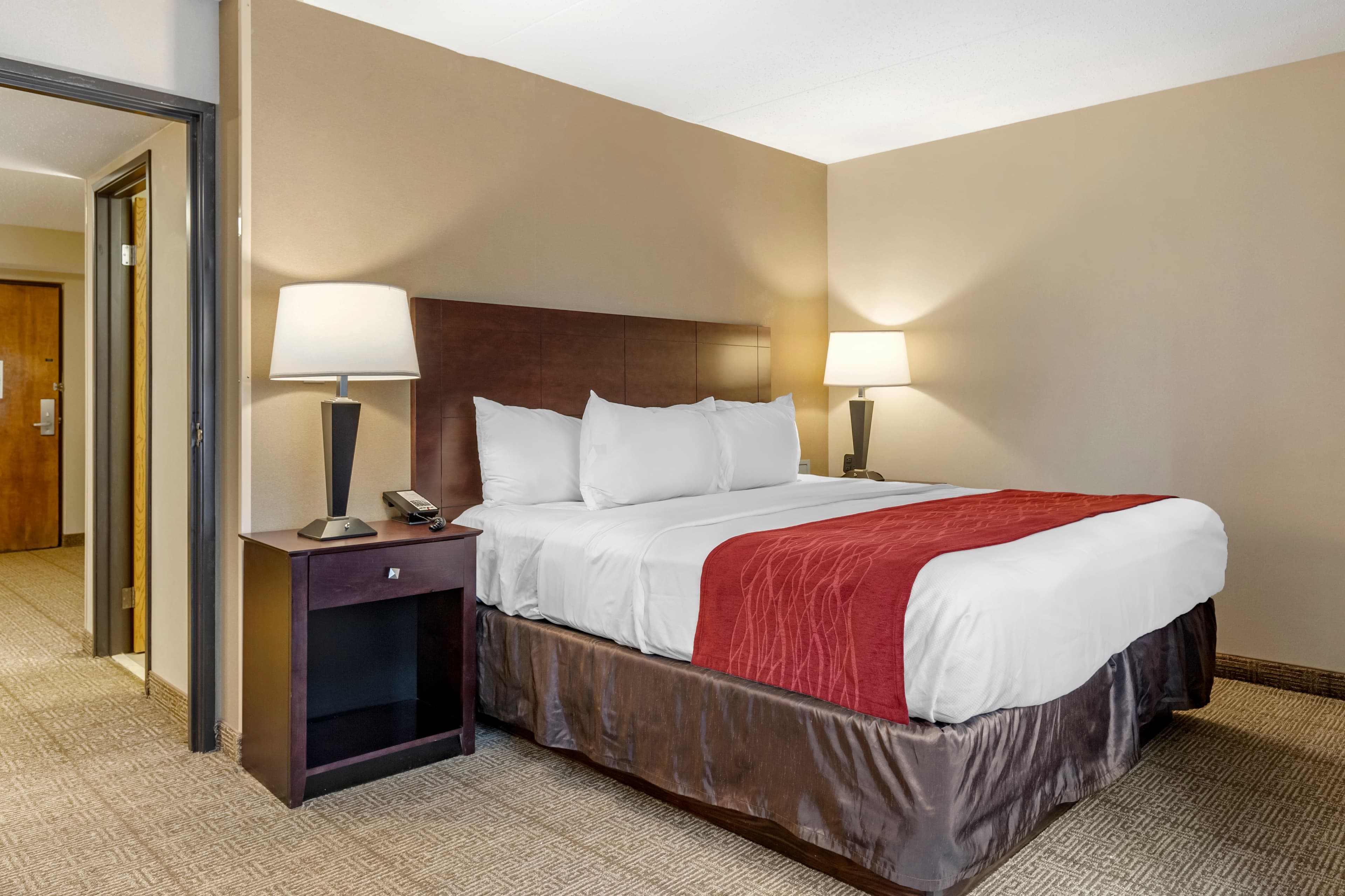 Comfort Inn Lansing West — 30