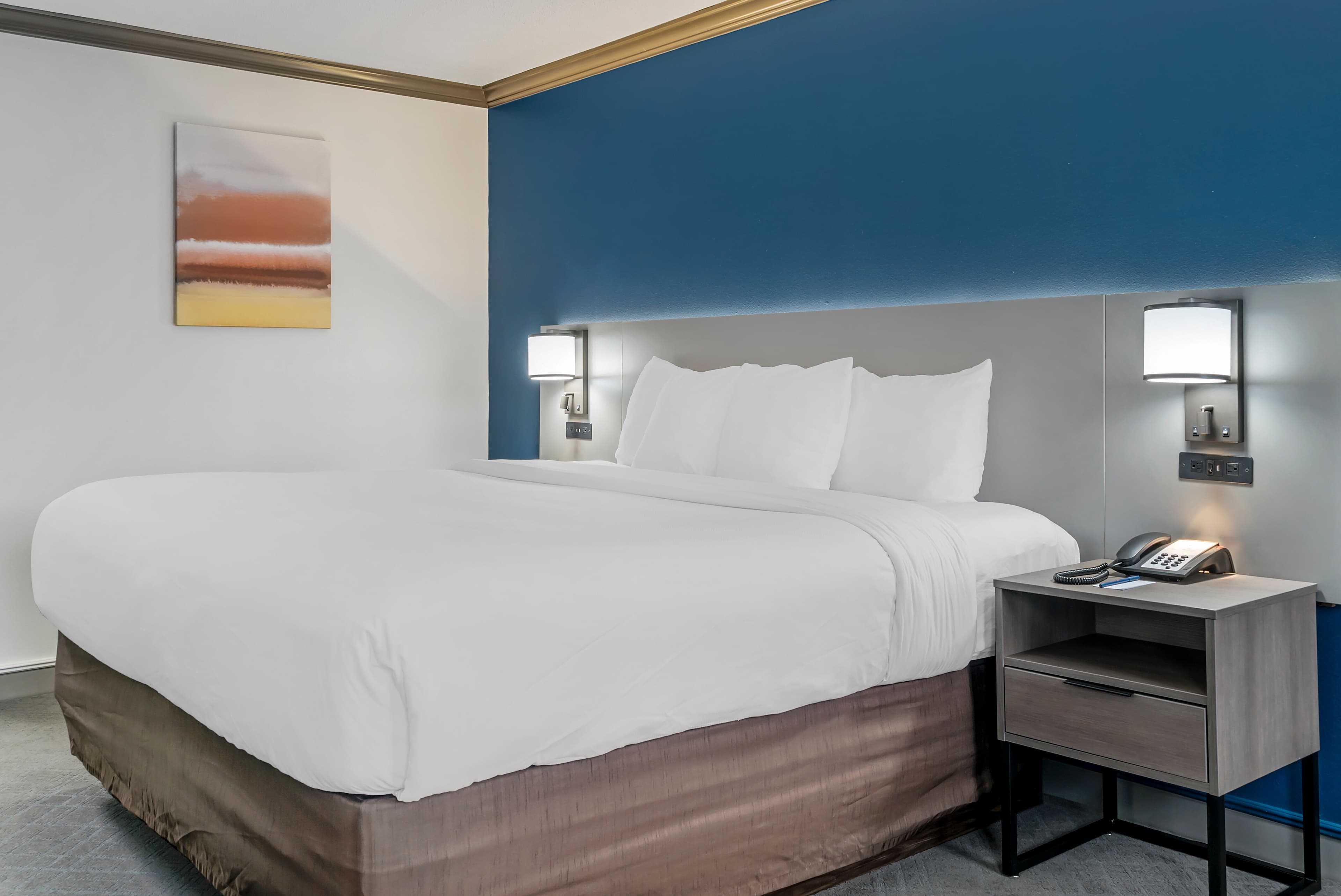 Comfort Inn Plainwell — 6