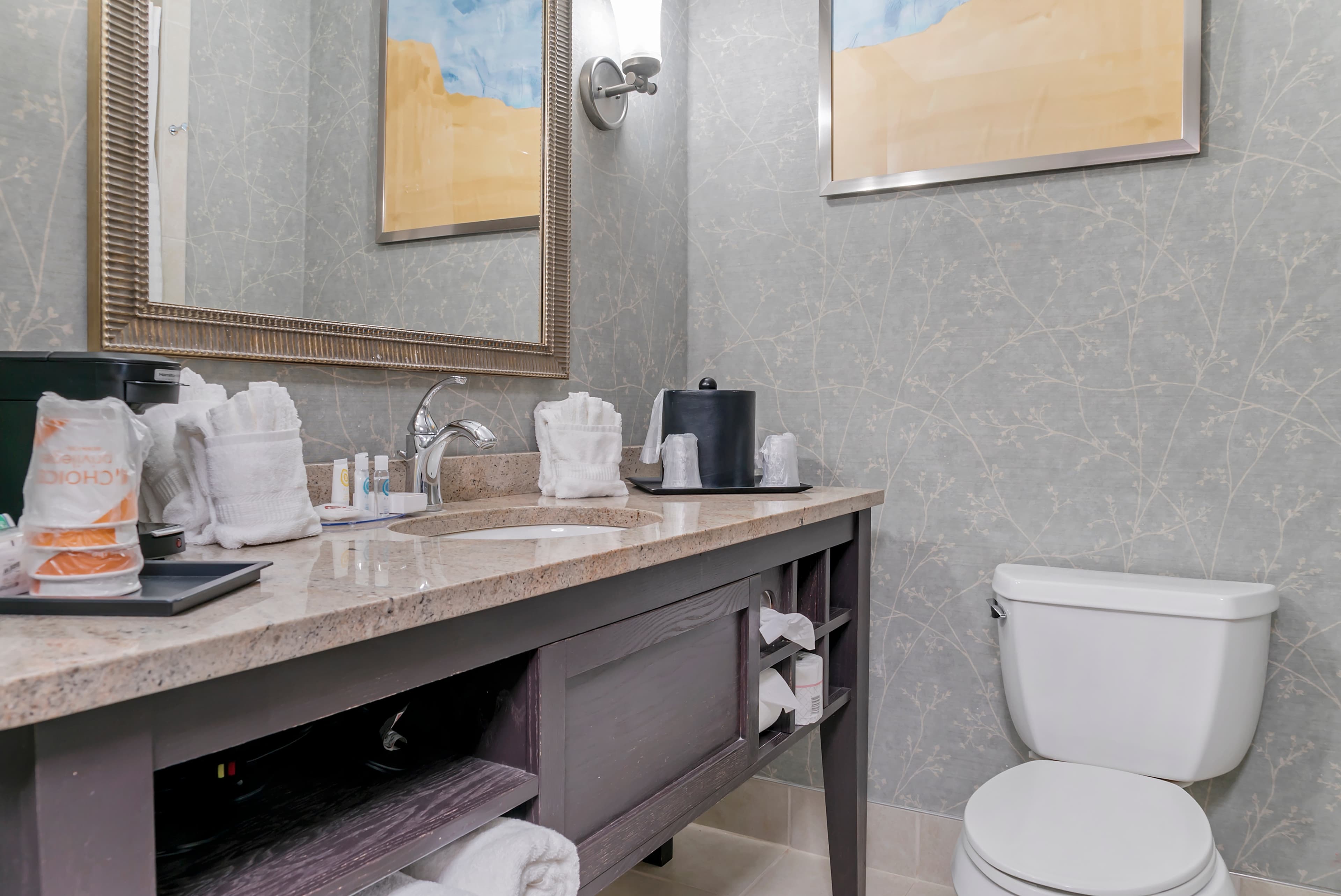 Comfort Inn Plainwell — 16