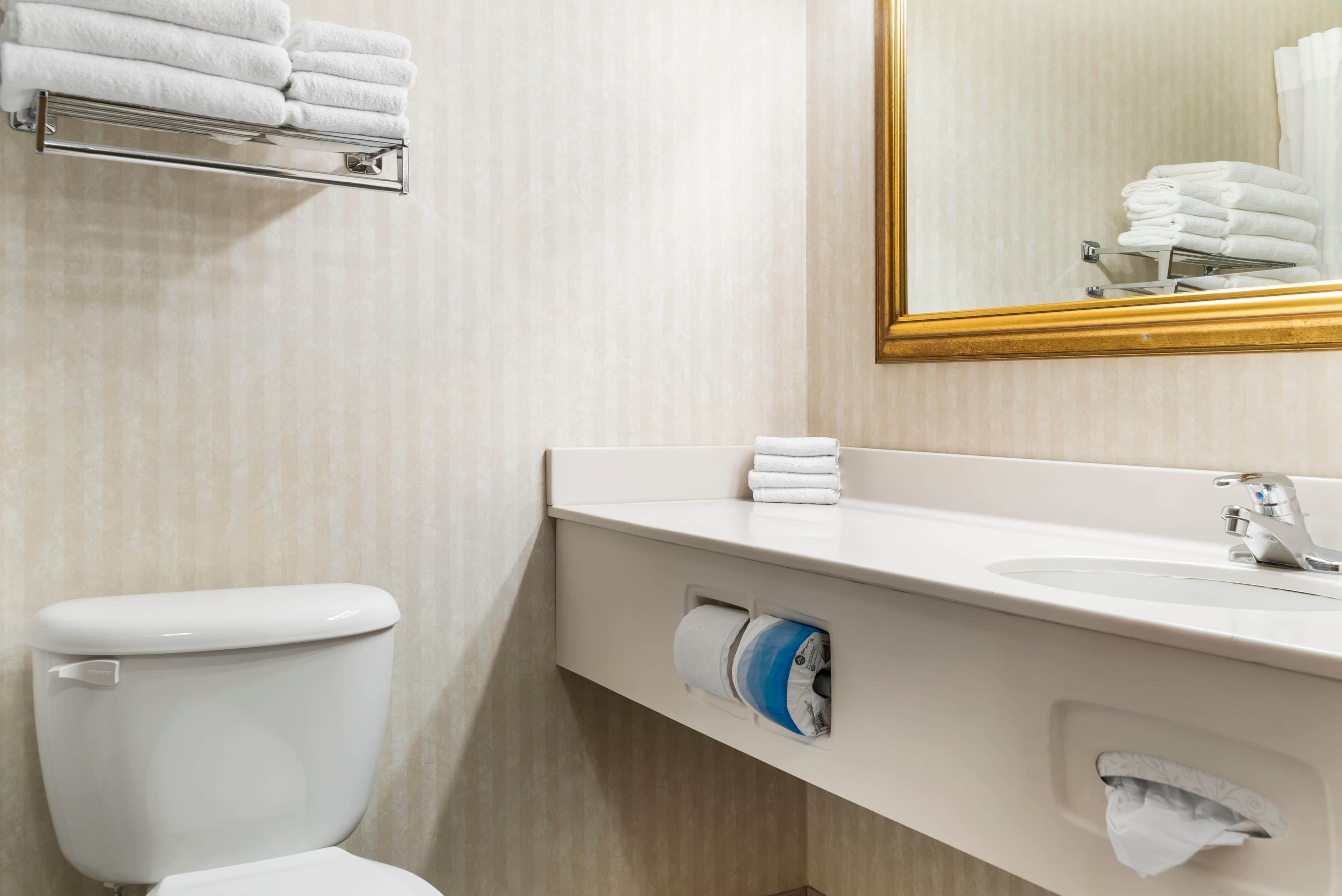 Quality Inn & Suites Manistique — 10
