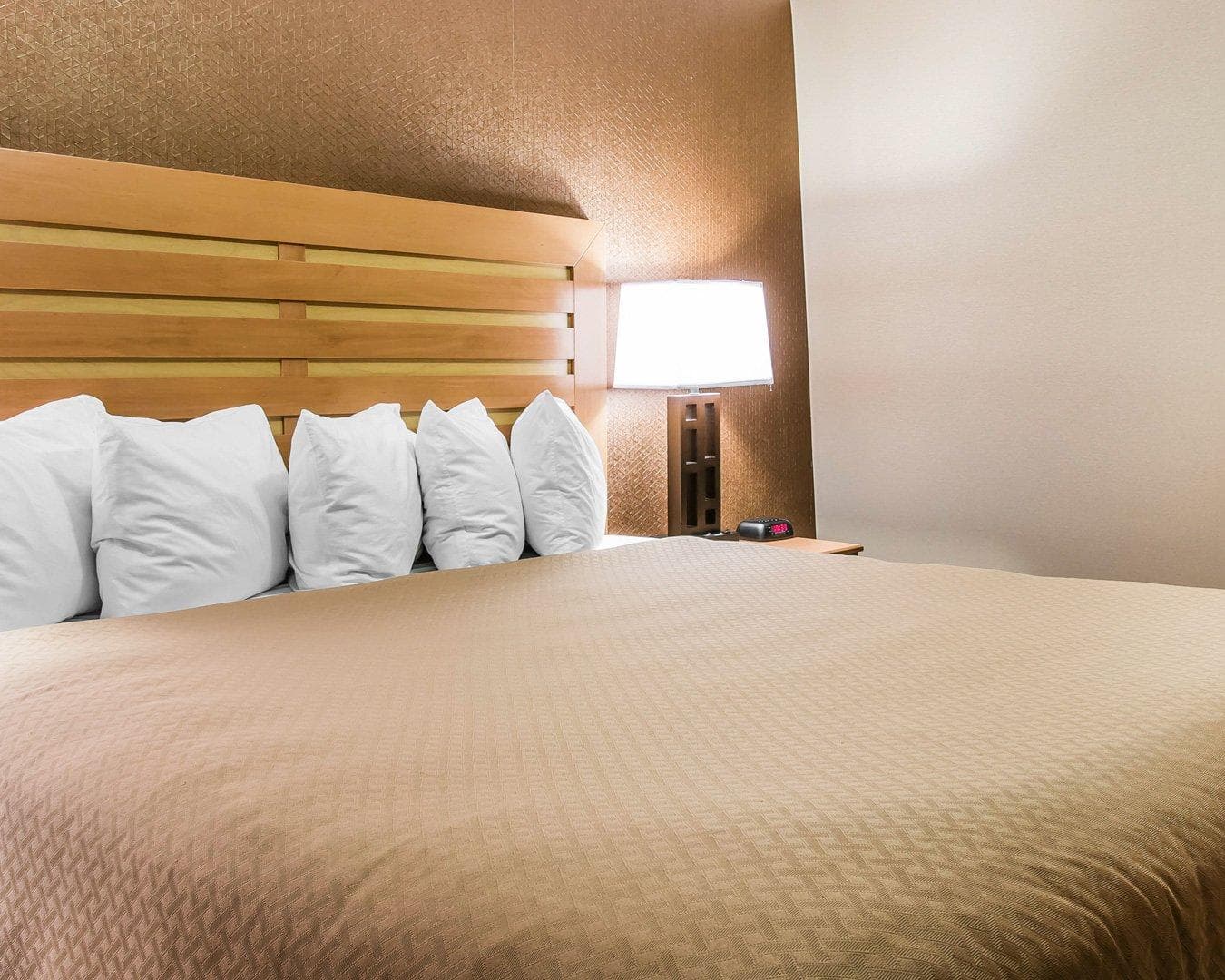 Quality Inn & Suites Warren - Detroit — 14