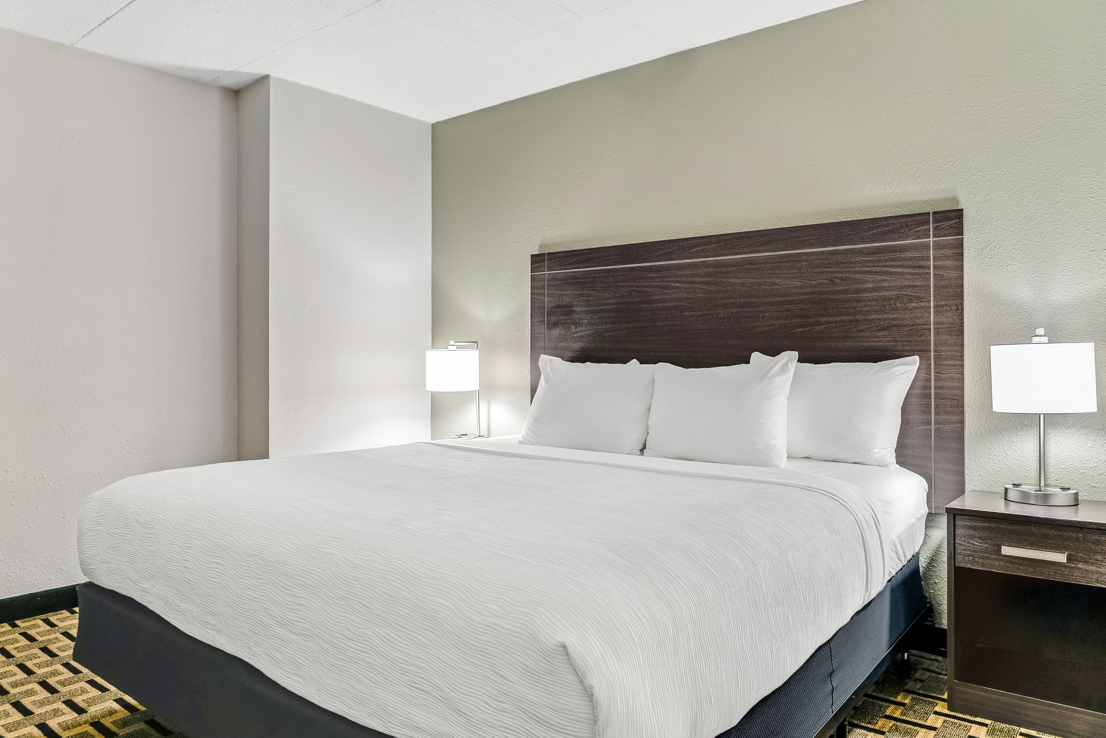 Quality Inn Detroit Downtown — 27