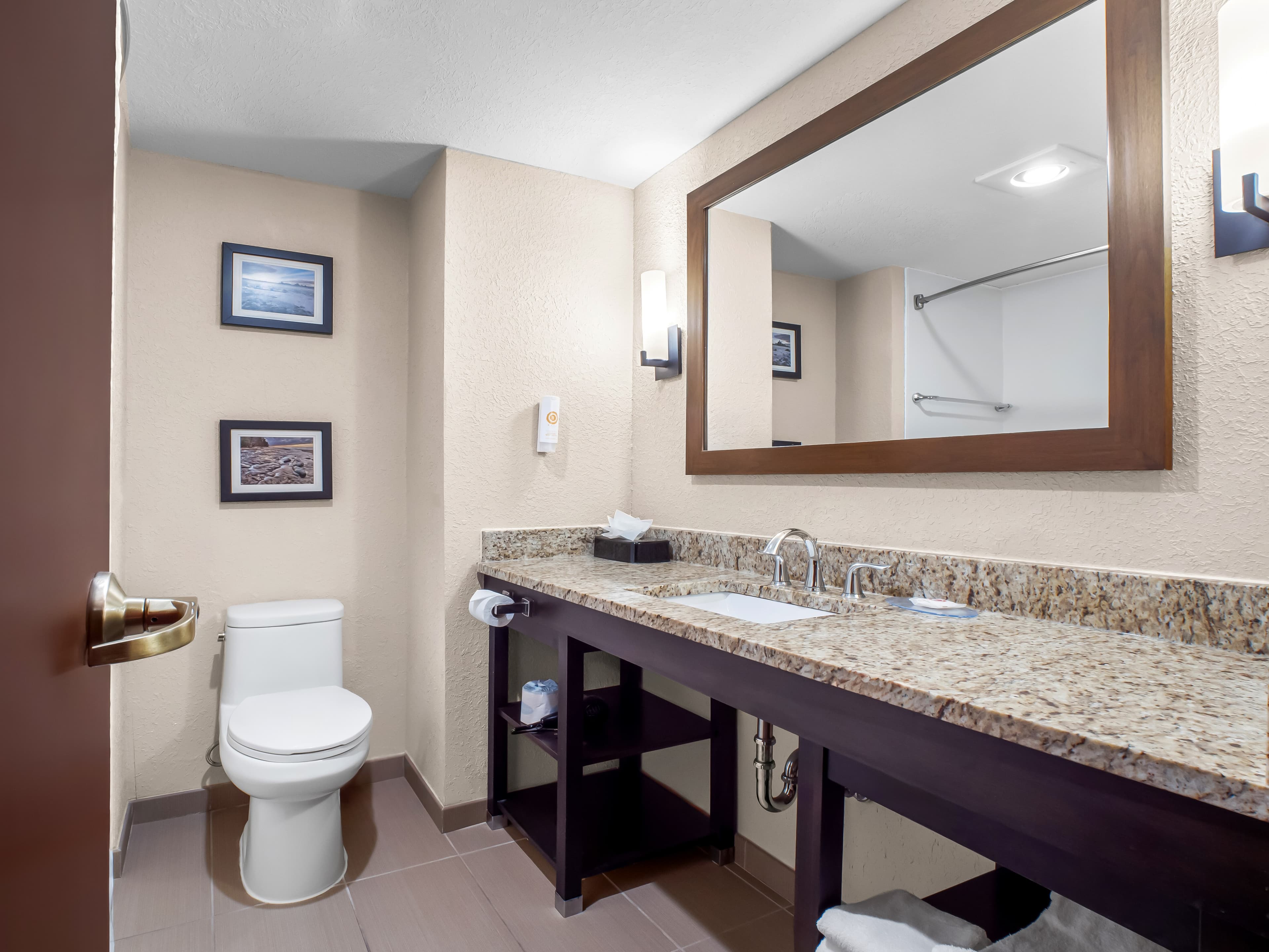 Comfort Inn & Suites Allen Park - Dearborn — 9