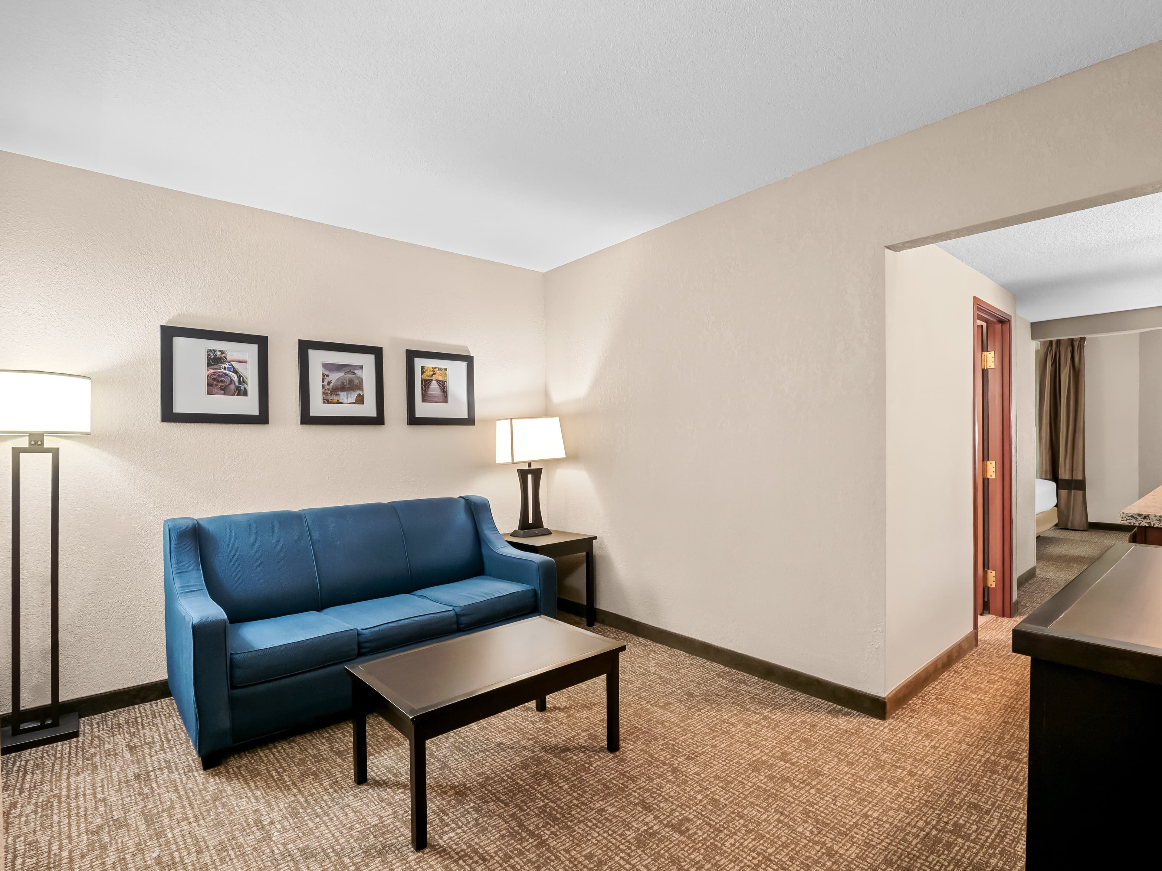 Comfort Inn & Suites Allen Park - Dearborn — 19