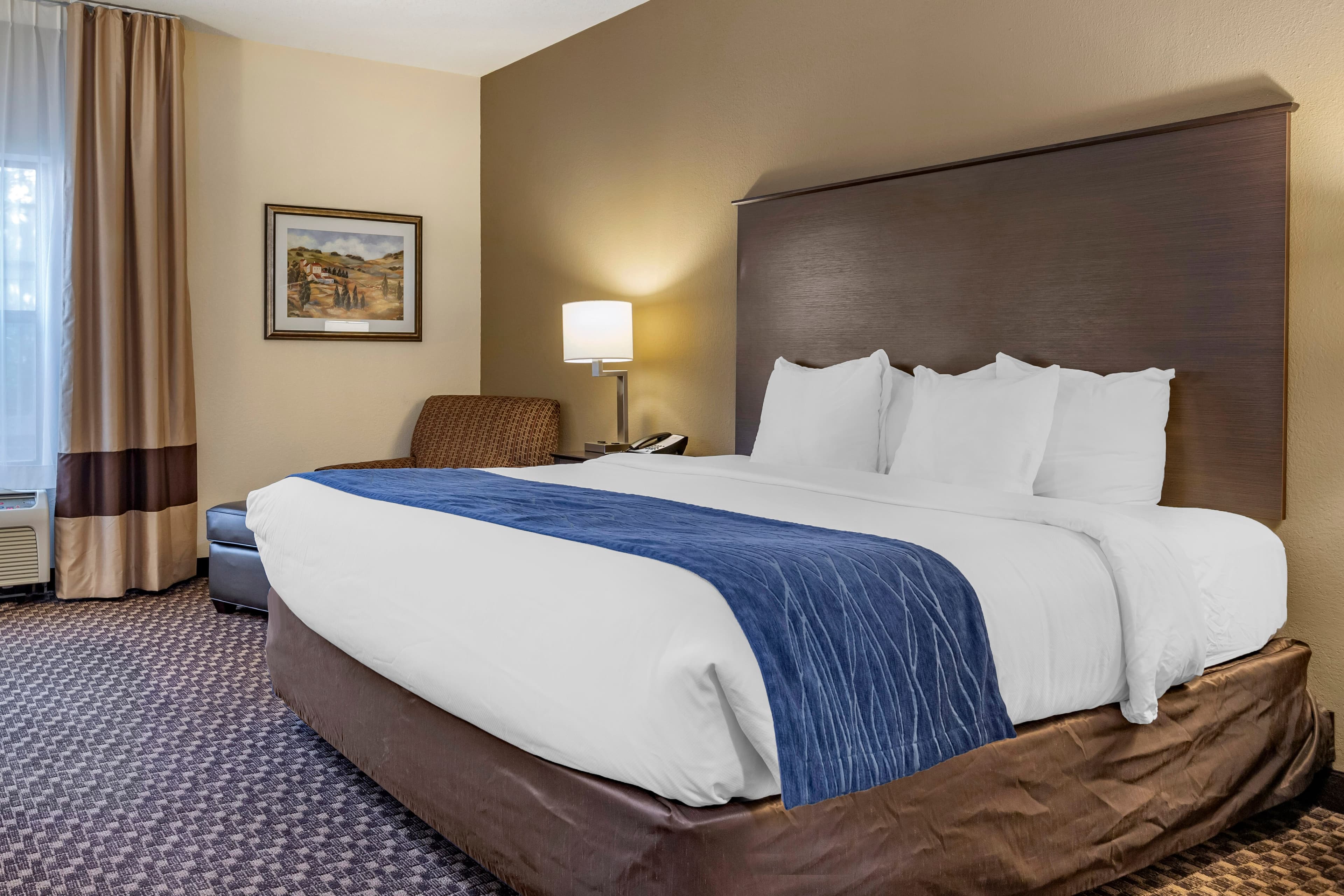 Comfort Inn Wings Stadium - Image 2