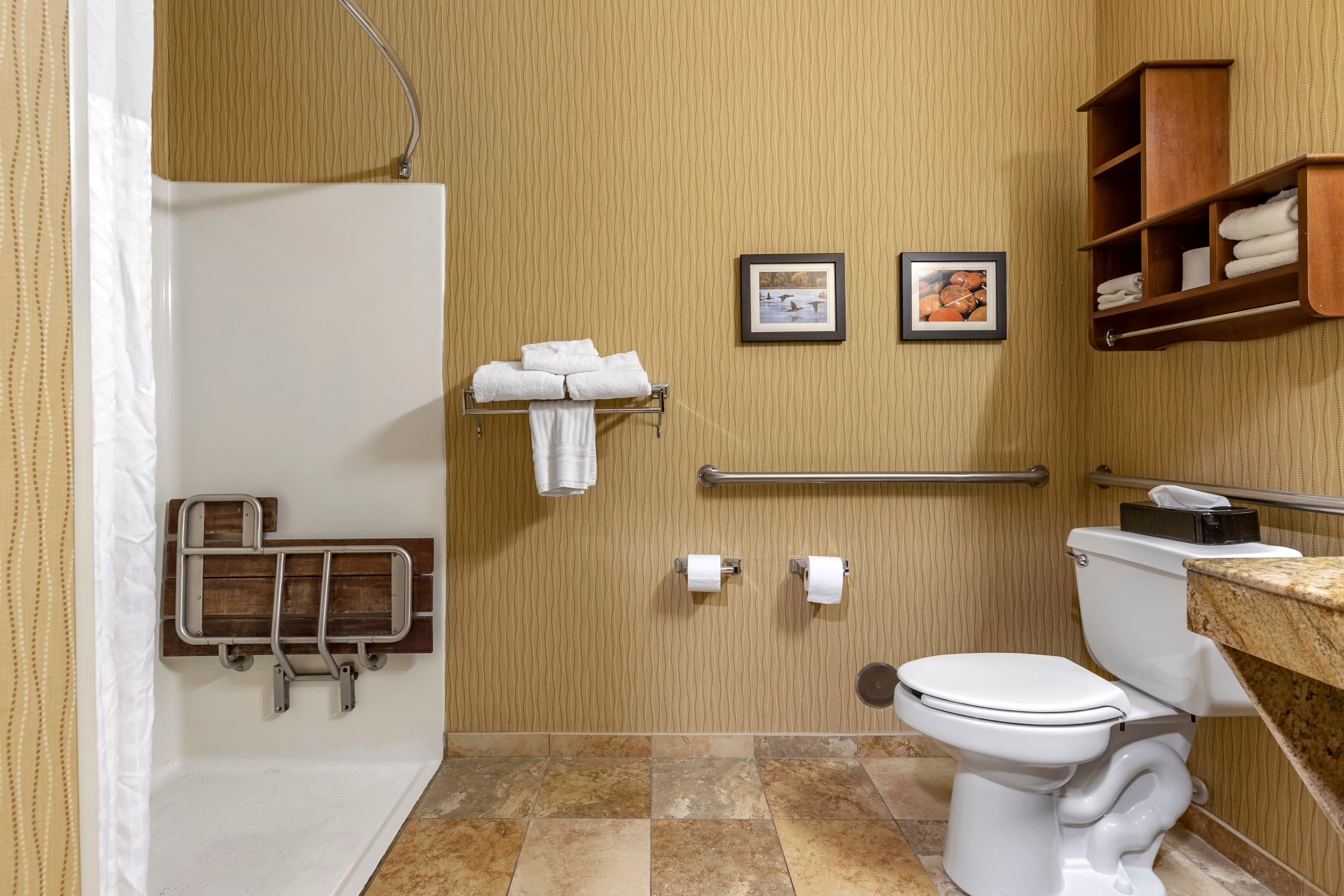 Comfort Inn Wings Stadium — 9