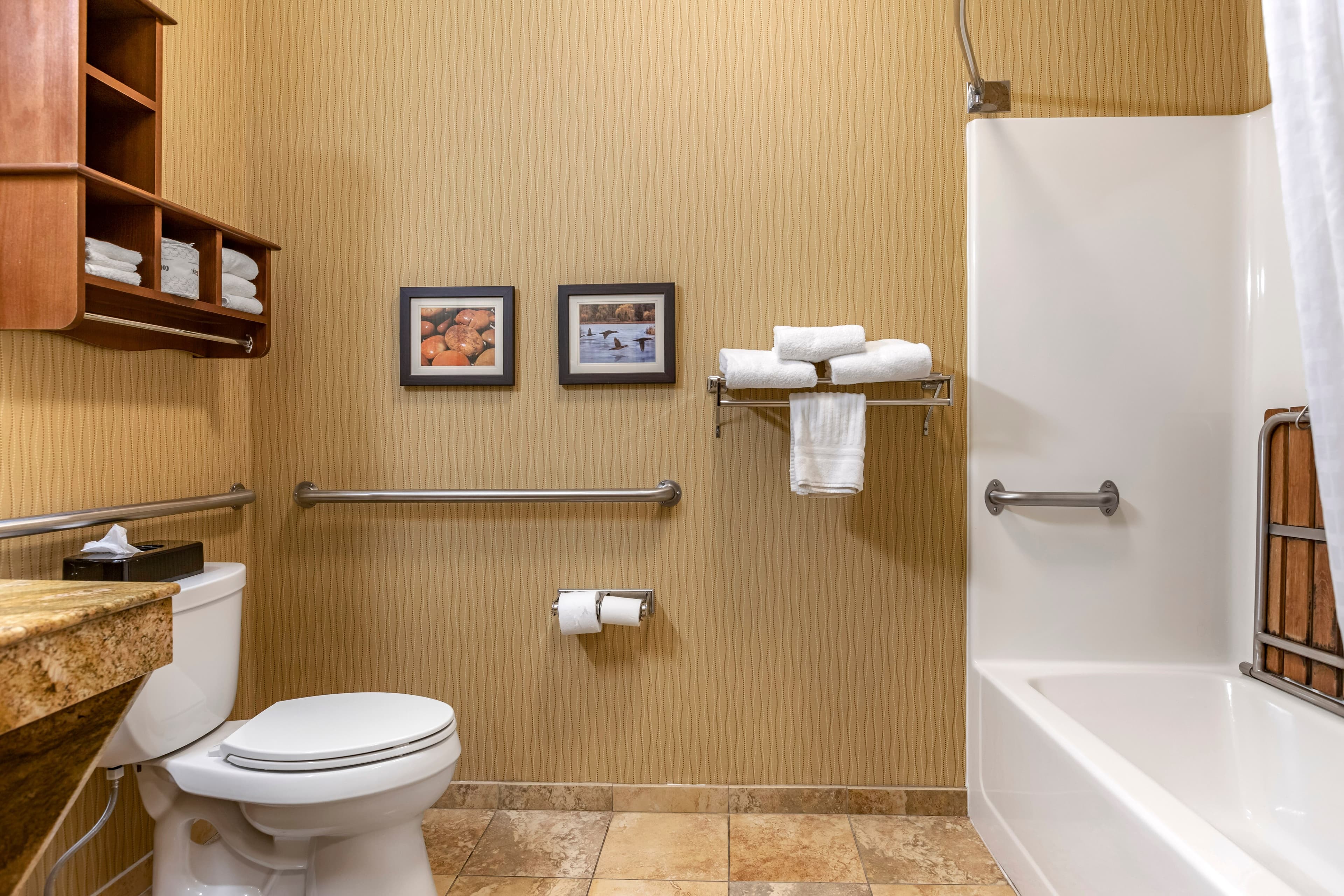 Comfort Inn Wings Stadium - Image 5