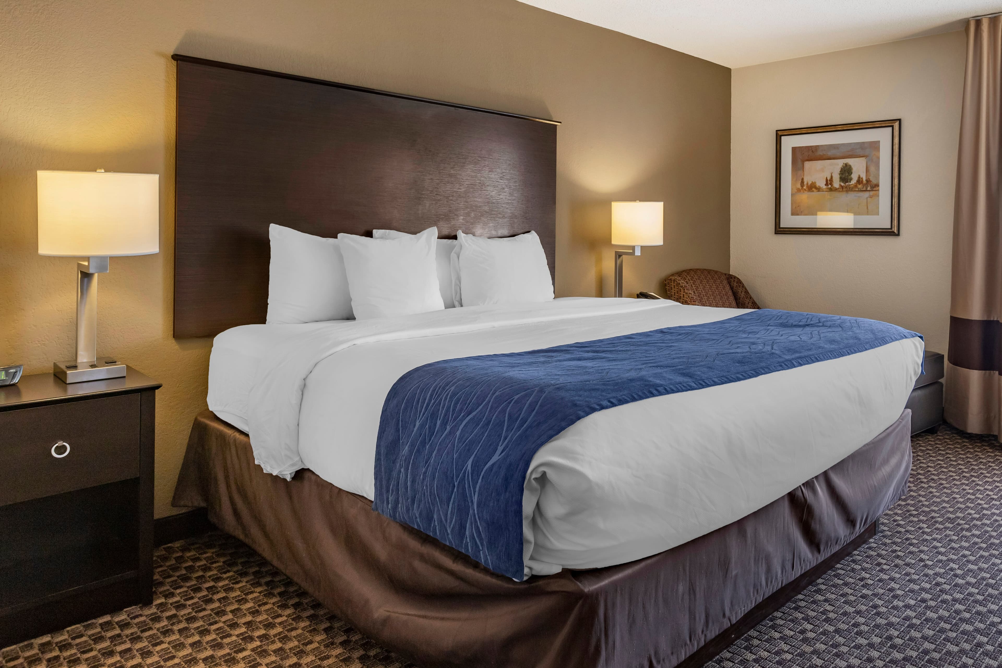 Comfort Inn Wings Stadium — 14