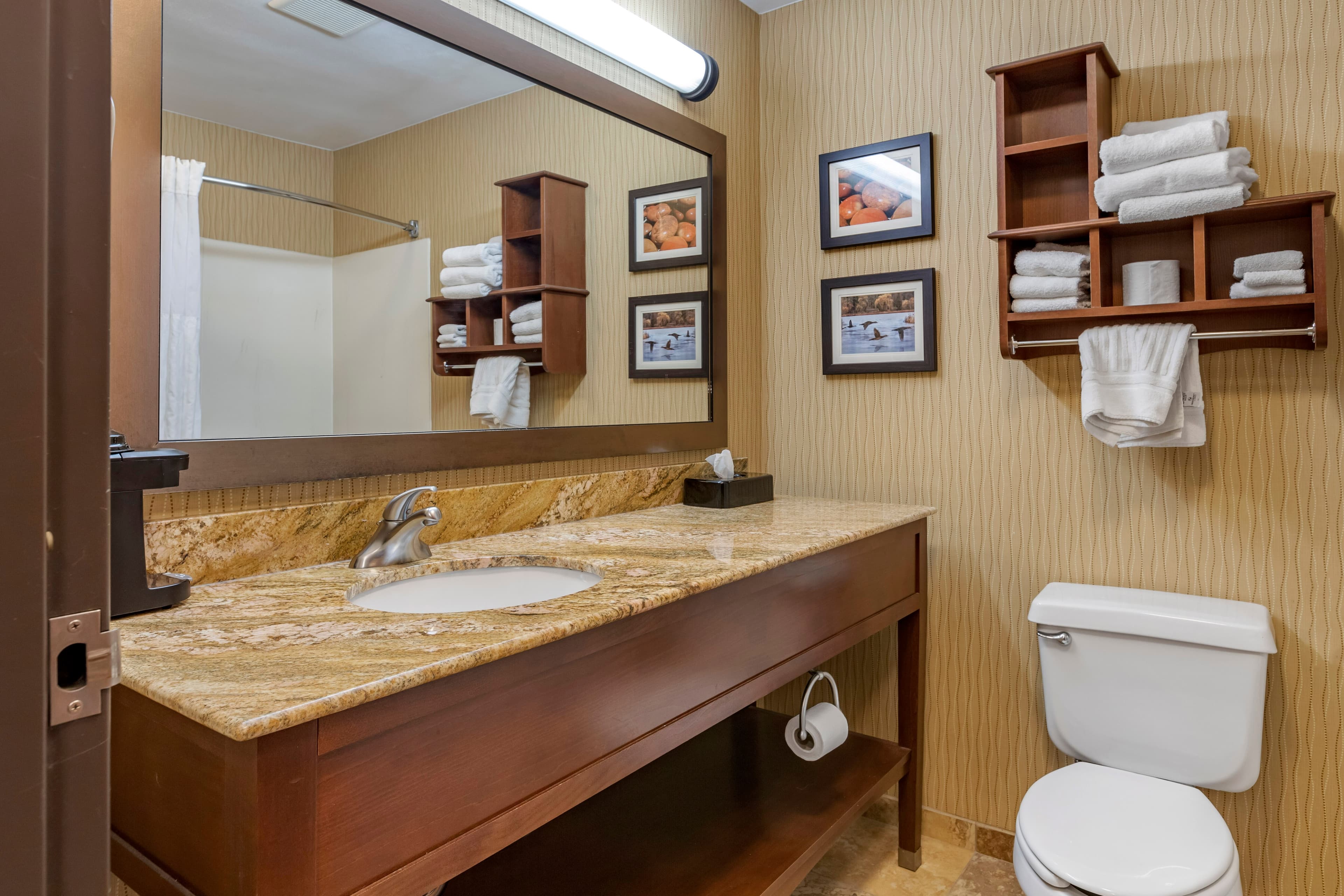 Comfort Inn Wings Stadium — 21