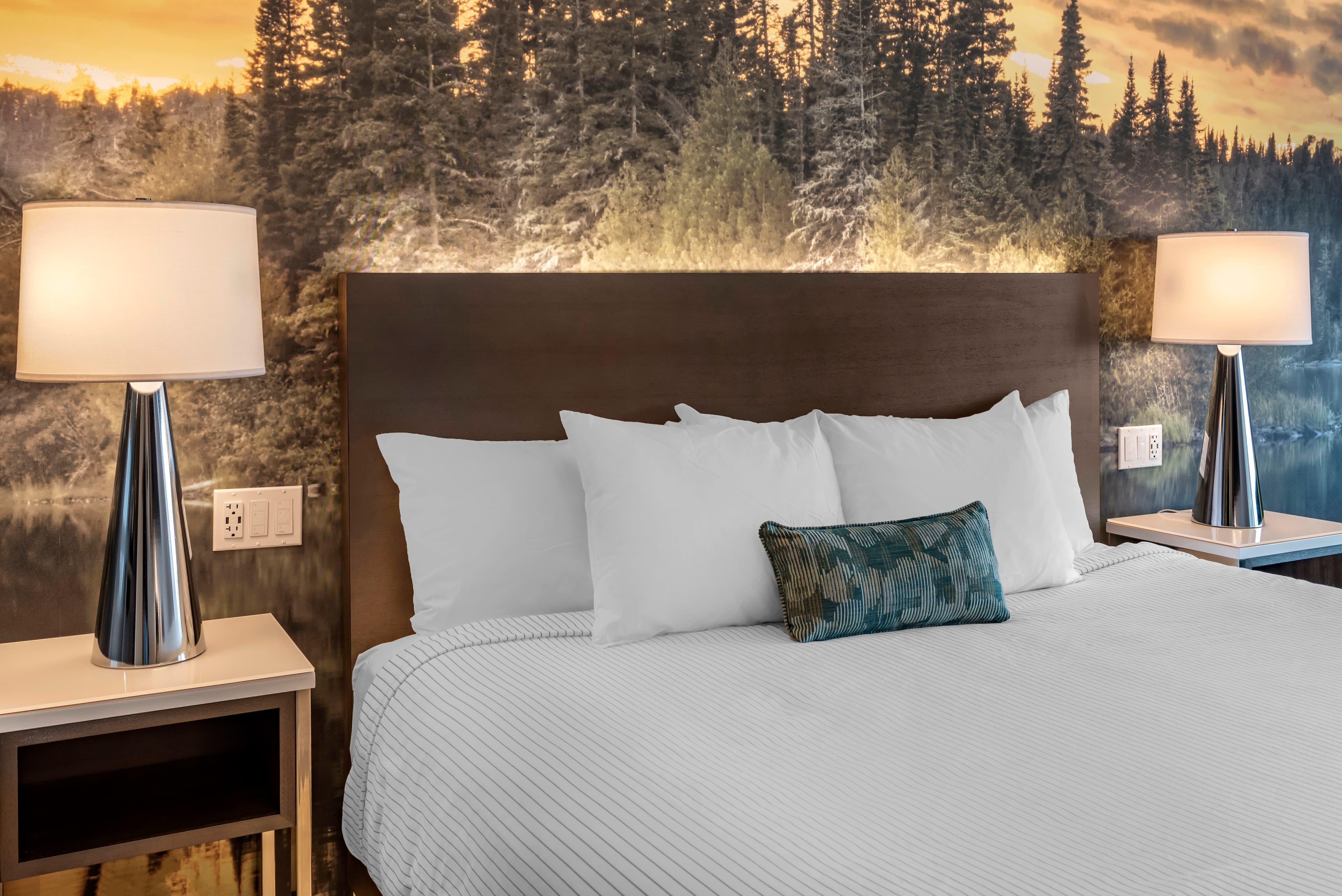 Cambria Hotel Shelby Township - Detroit Utica — 8