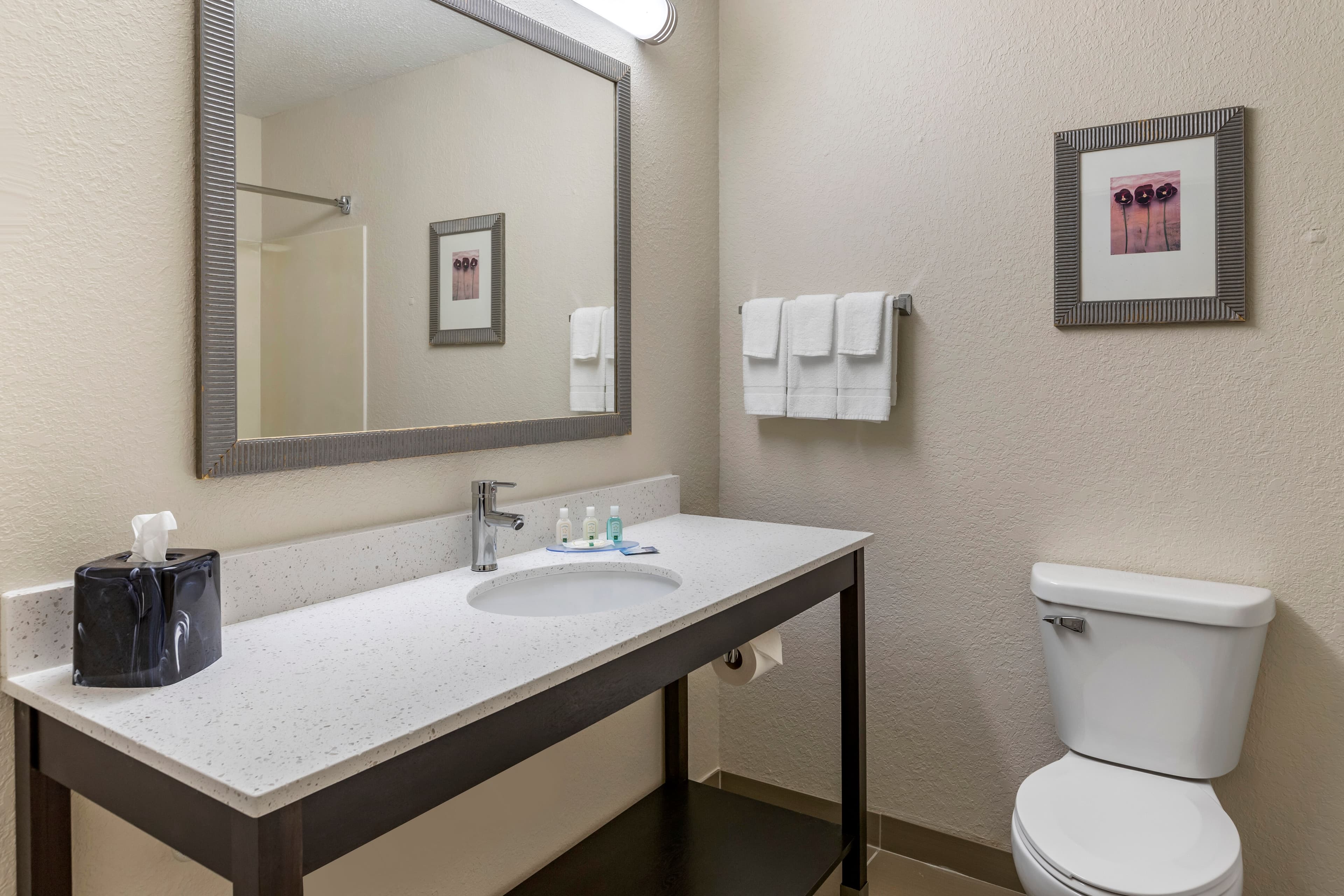 Quality Inn & Suites — 12