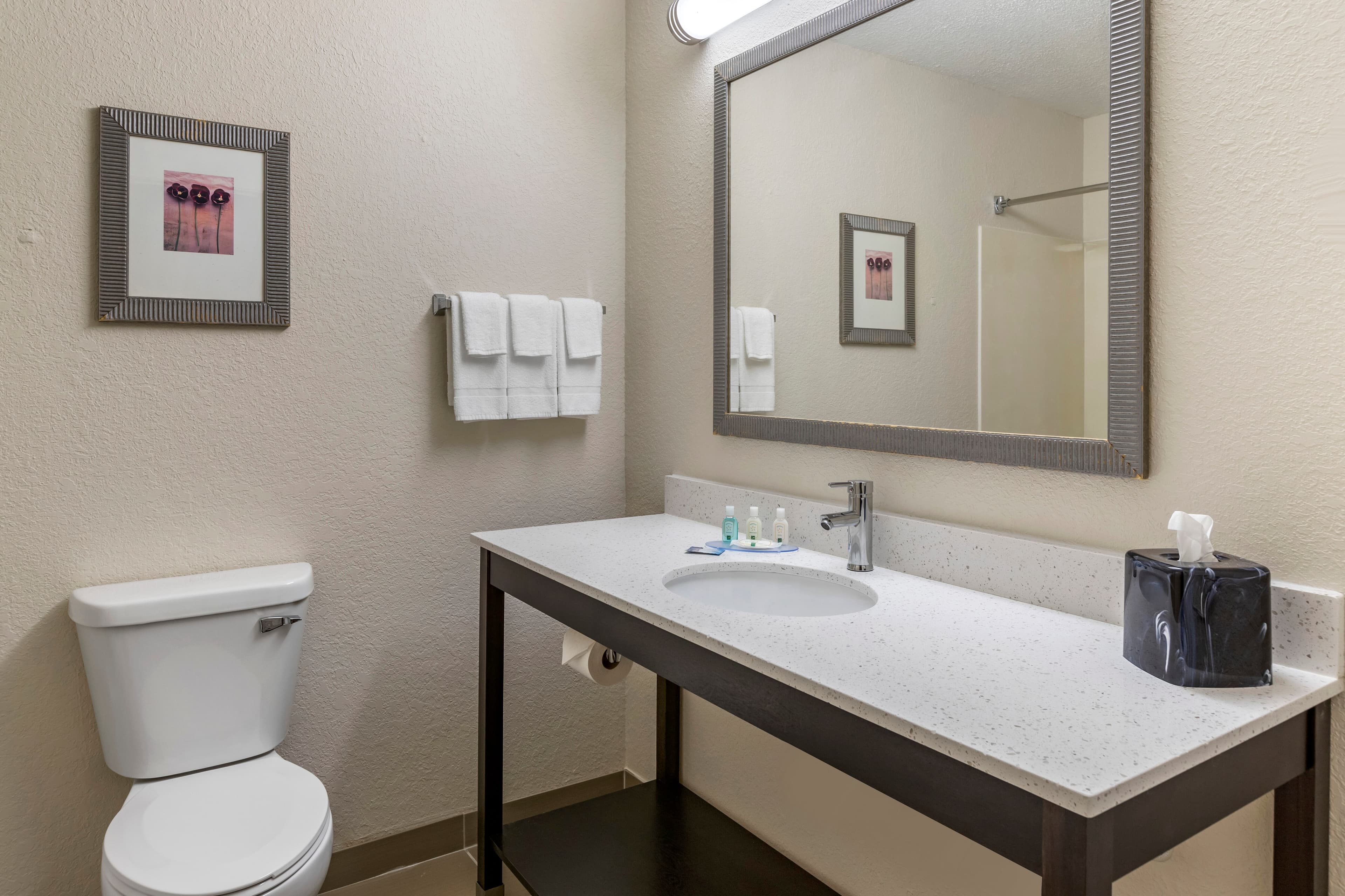 Quality Inn & Suites — 16