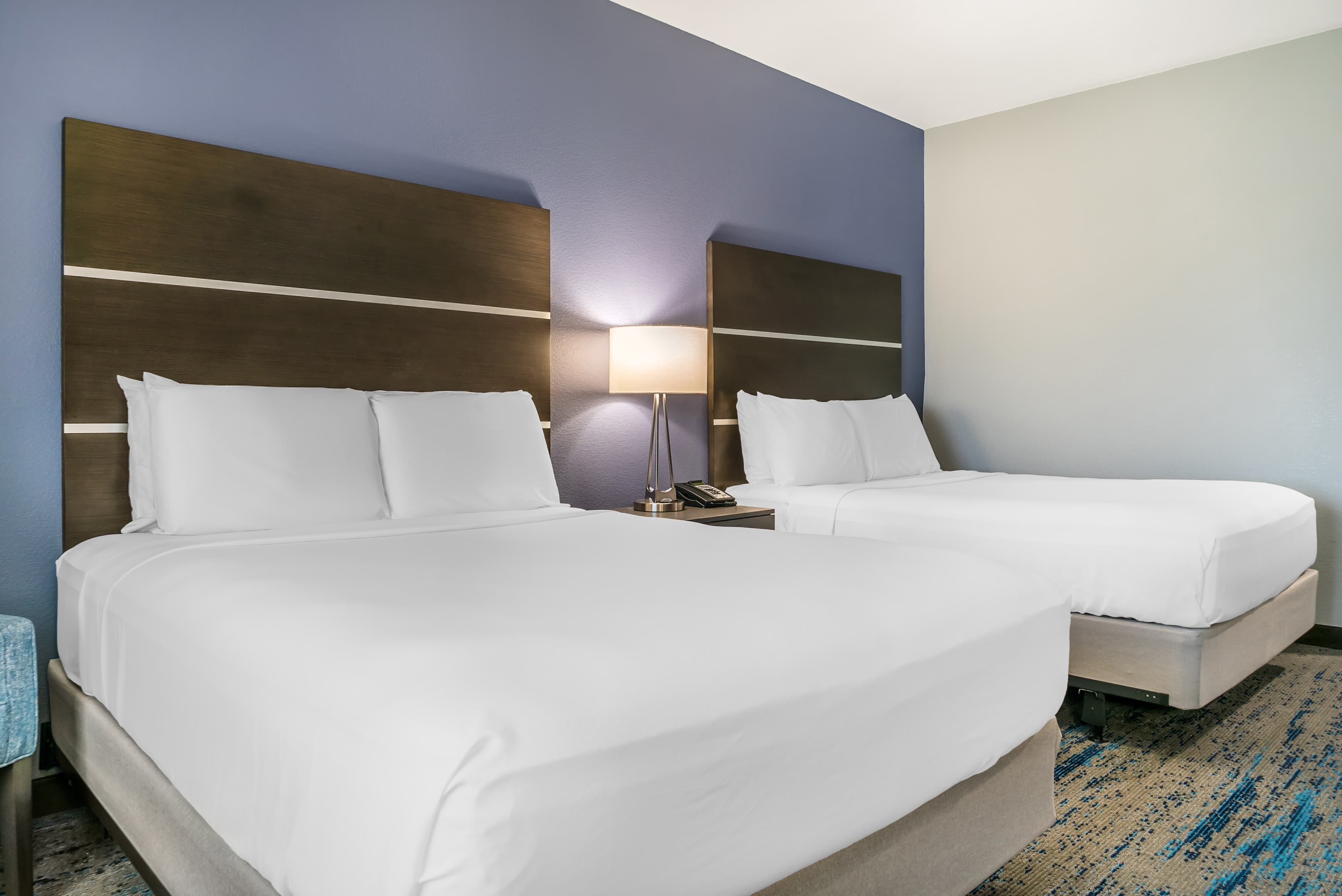 Comfort Inn & Suites Adrian - Image 4