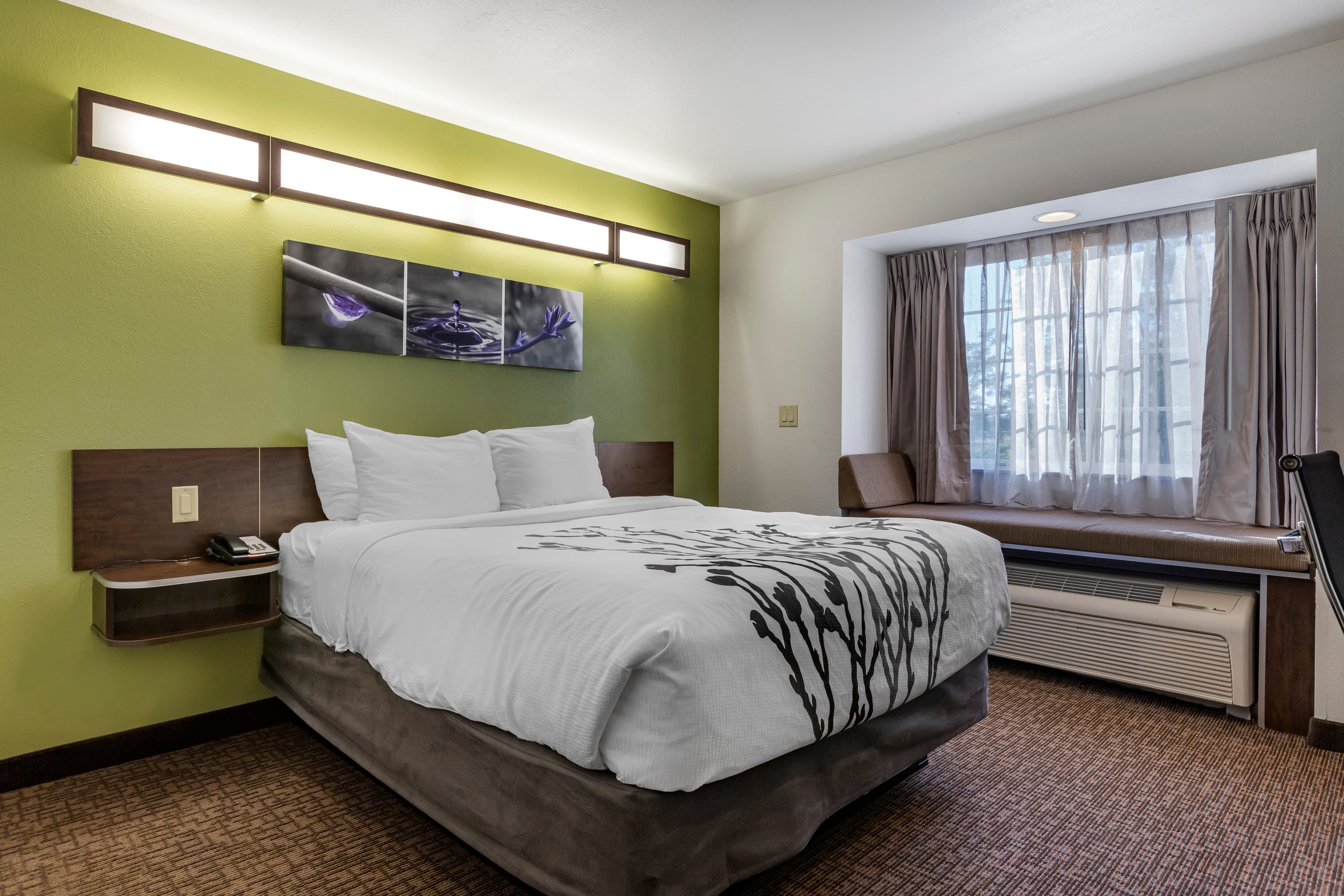 Sleep Inn & Suites Kalamazoo Southwest — 2