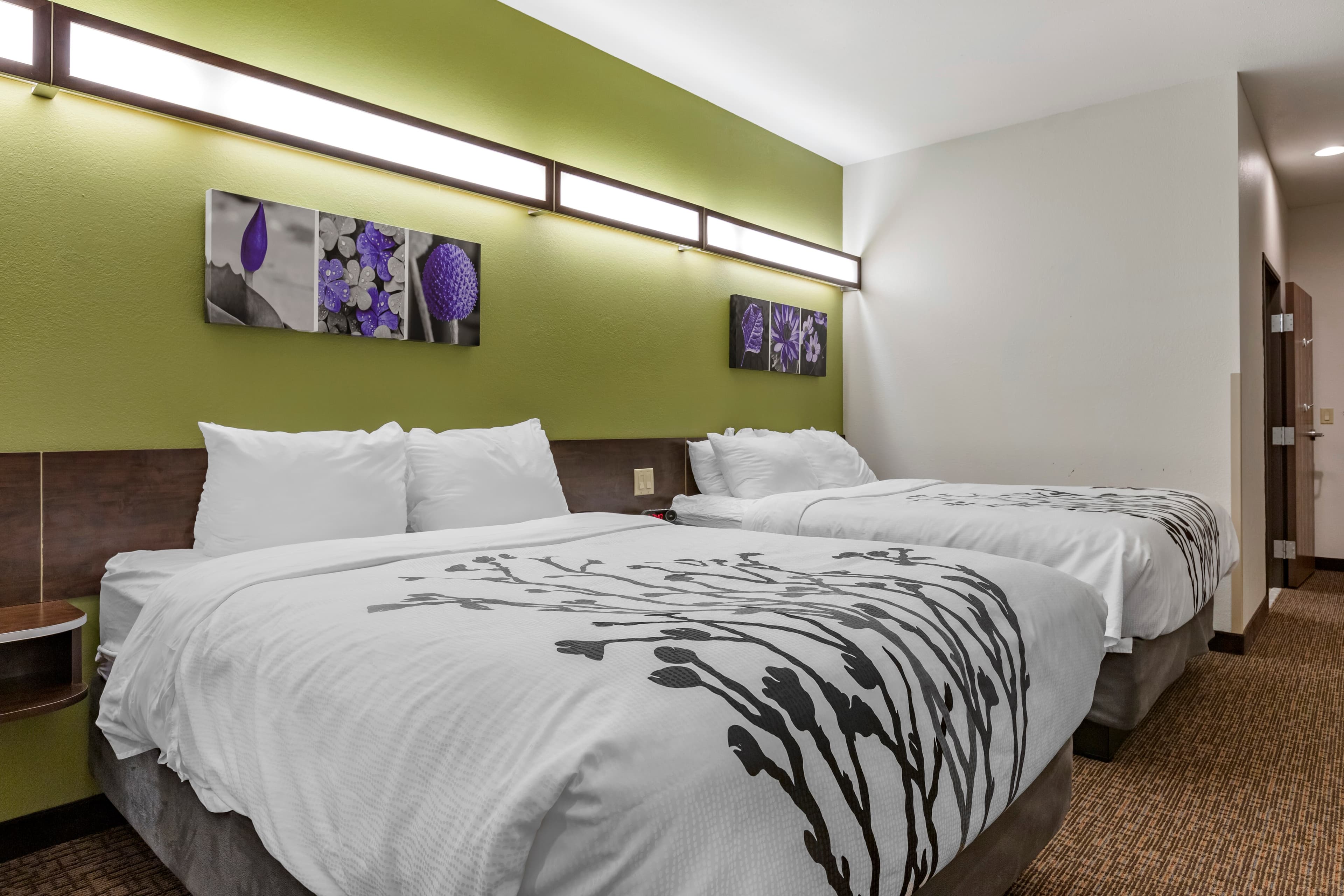 Sleep Inn & Suites Kalamazoo Southwest — 8