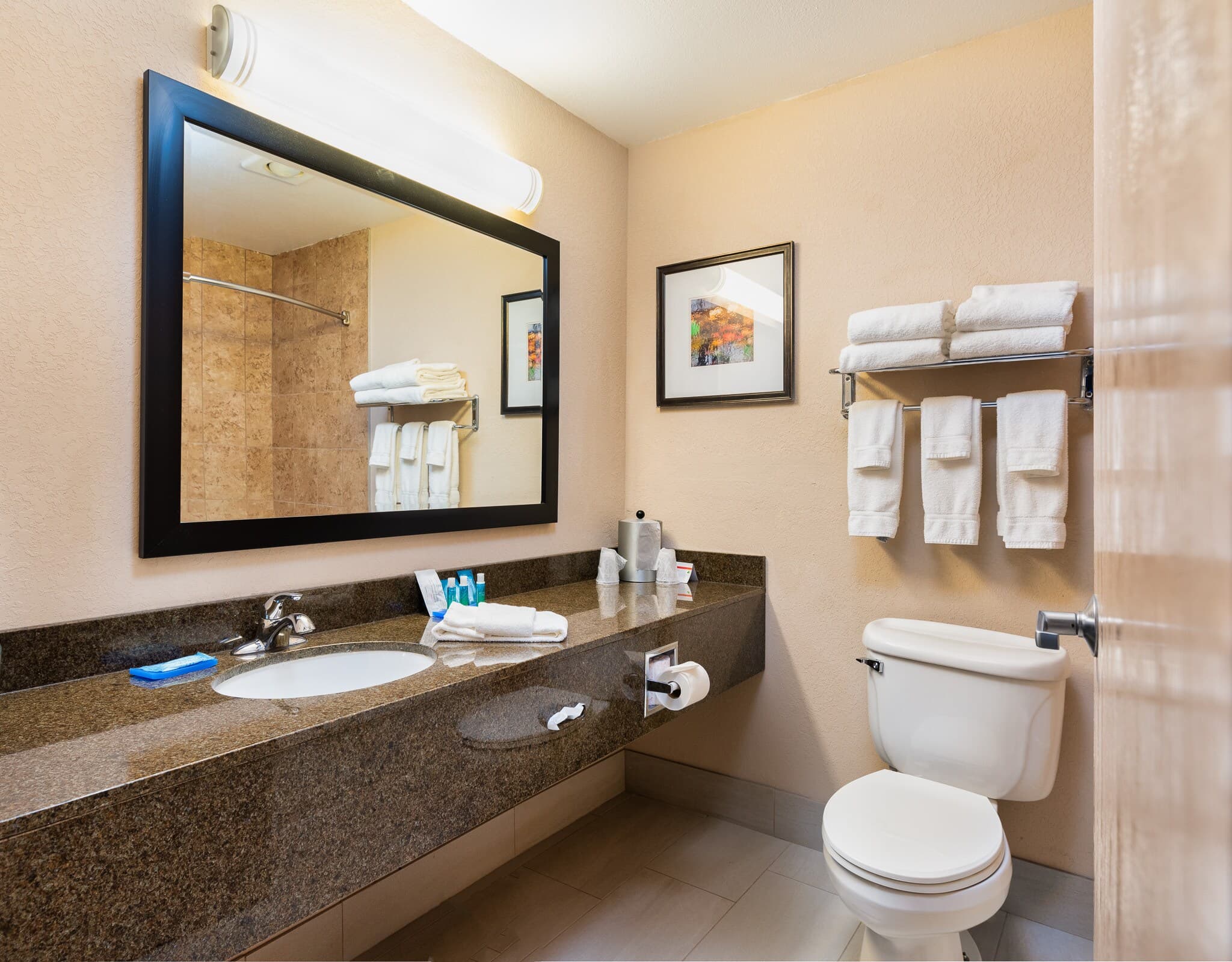 Country Inn & Suites by Radisson, South Haven, MI - Image 3