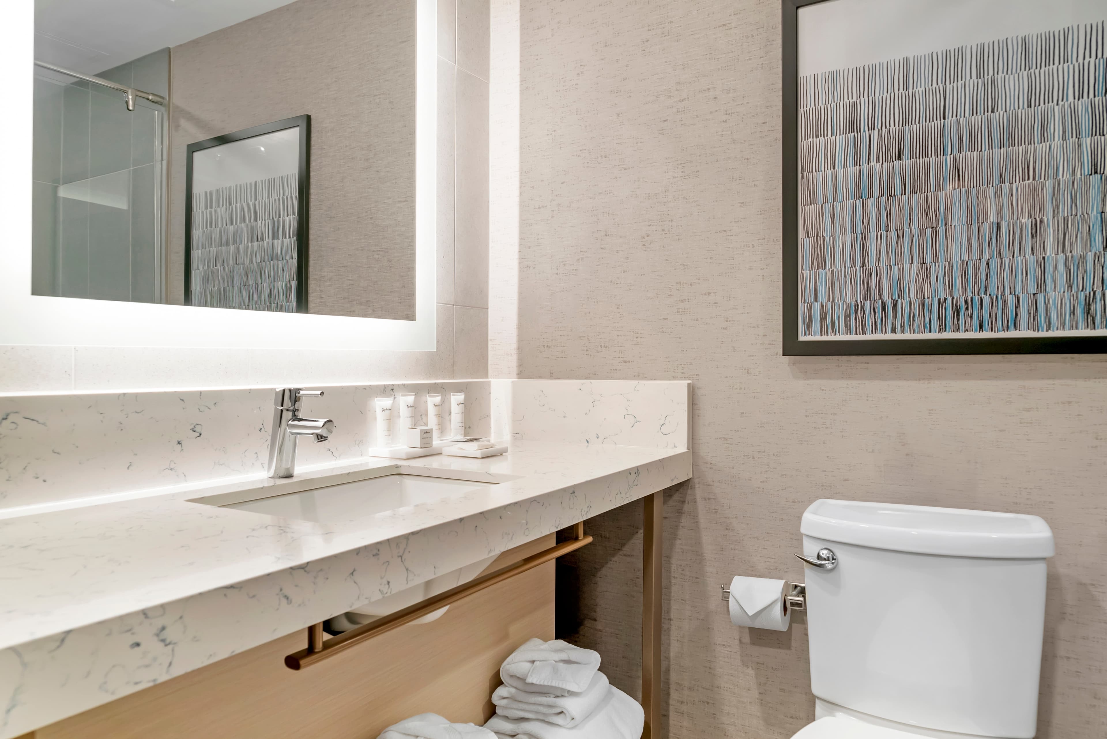 Radisson Plaza Hotel at Kalamazoo Center — 6