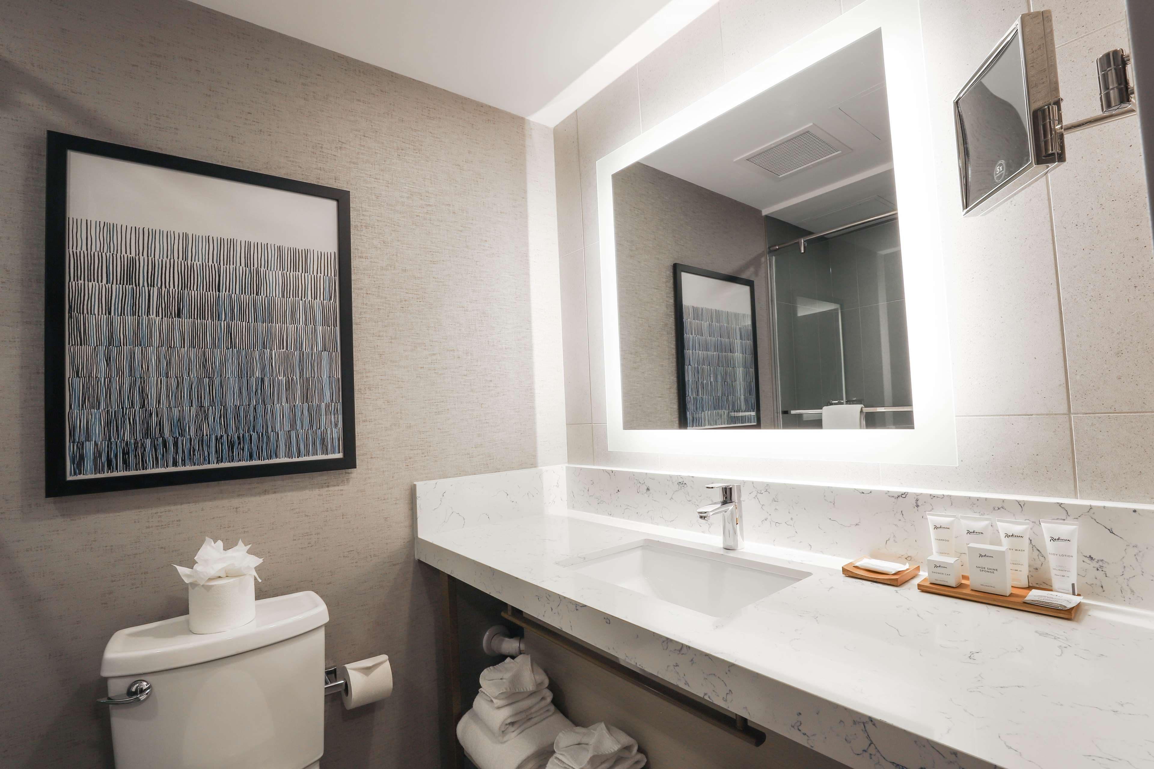Radisson Plaza Hotel at Kalamazoo Center — 8