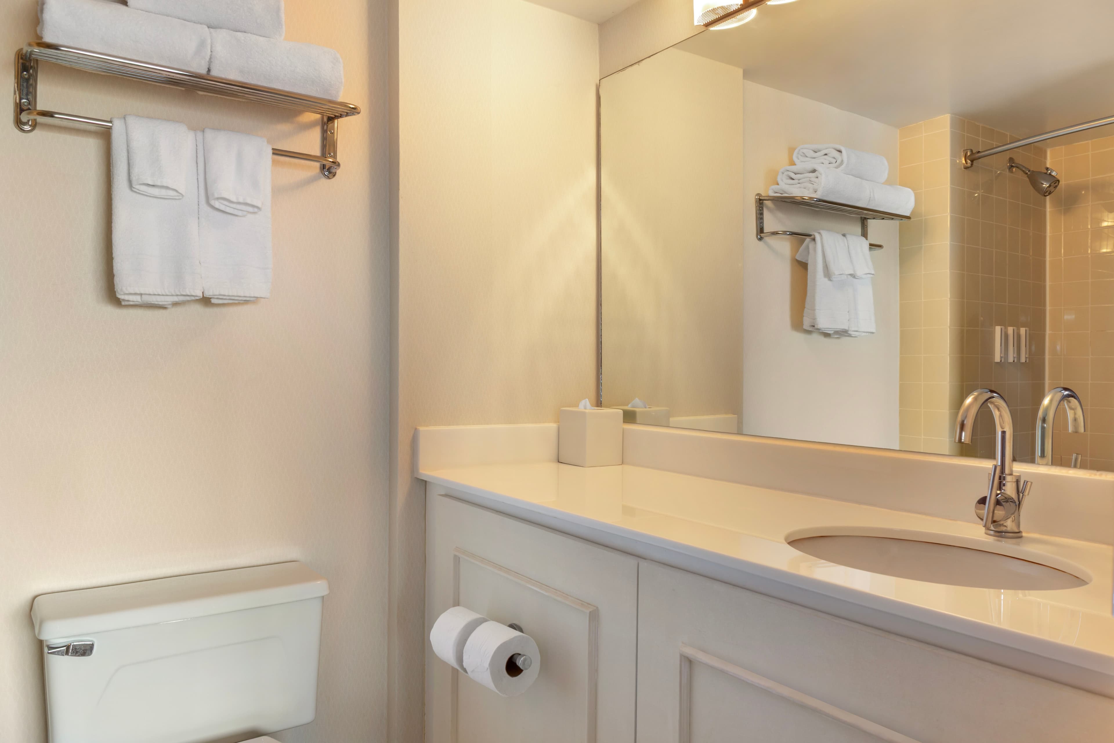 Radisson Hotel Detroit Metro Airport — 9