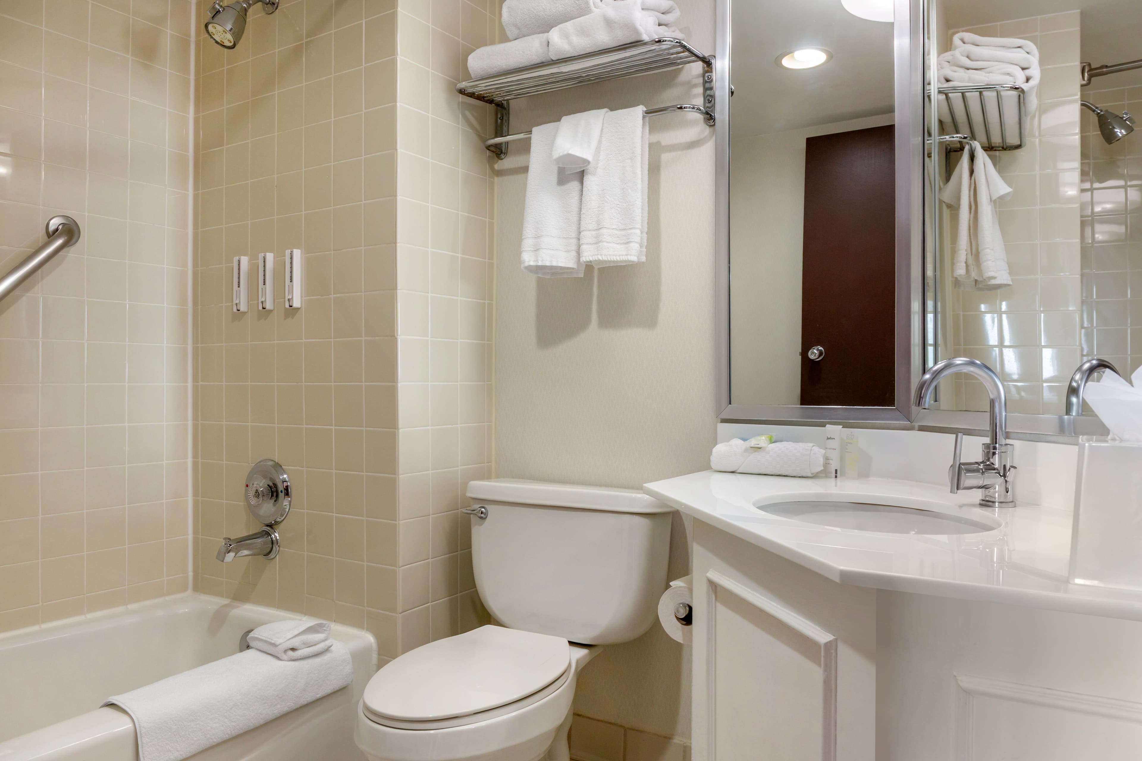 Radisson Hotel Detroit Metro Airport — 13