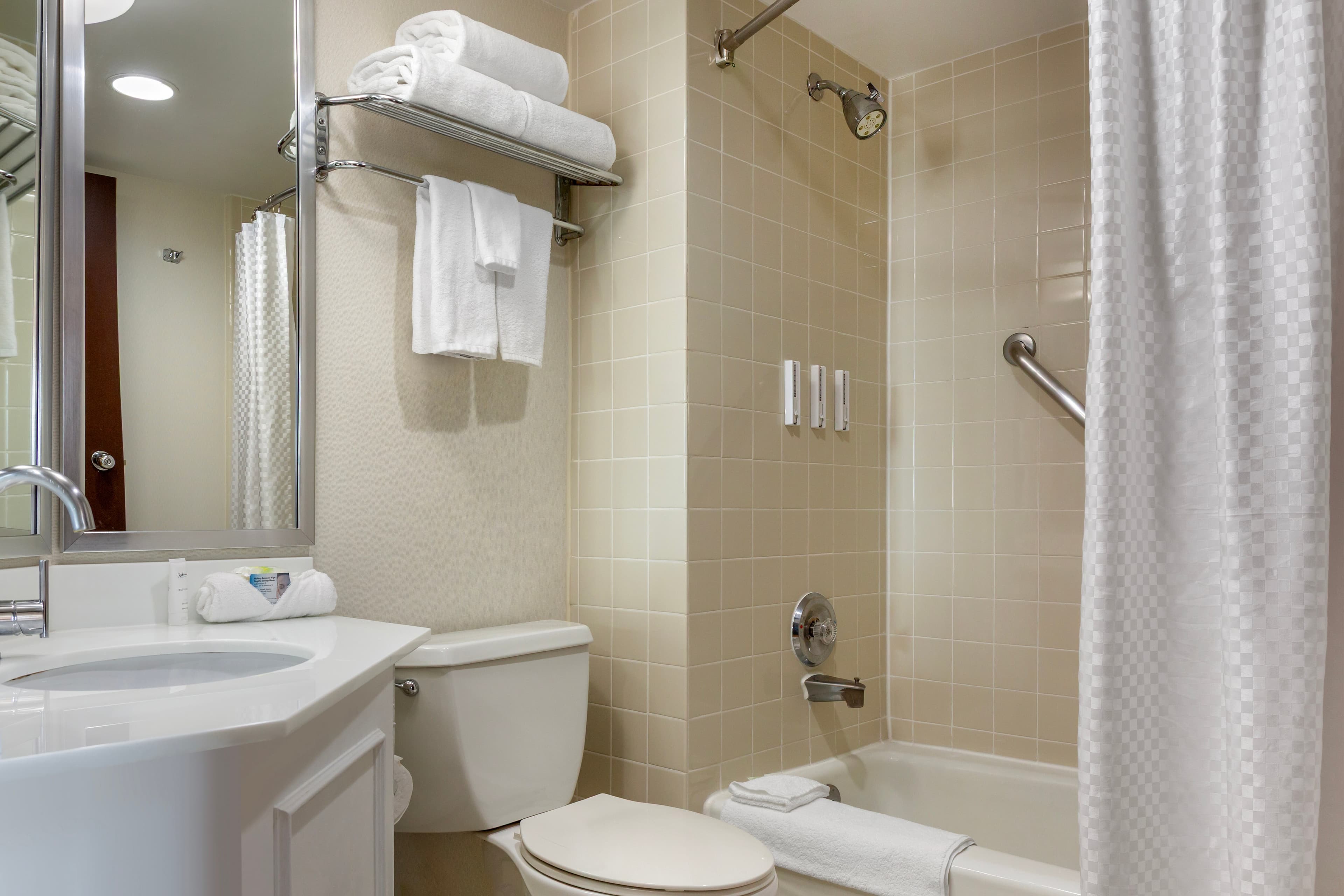 Radisson Hotel Detroit Metro Airport — 17