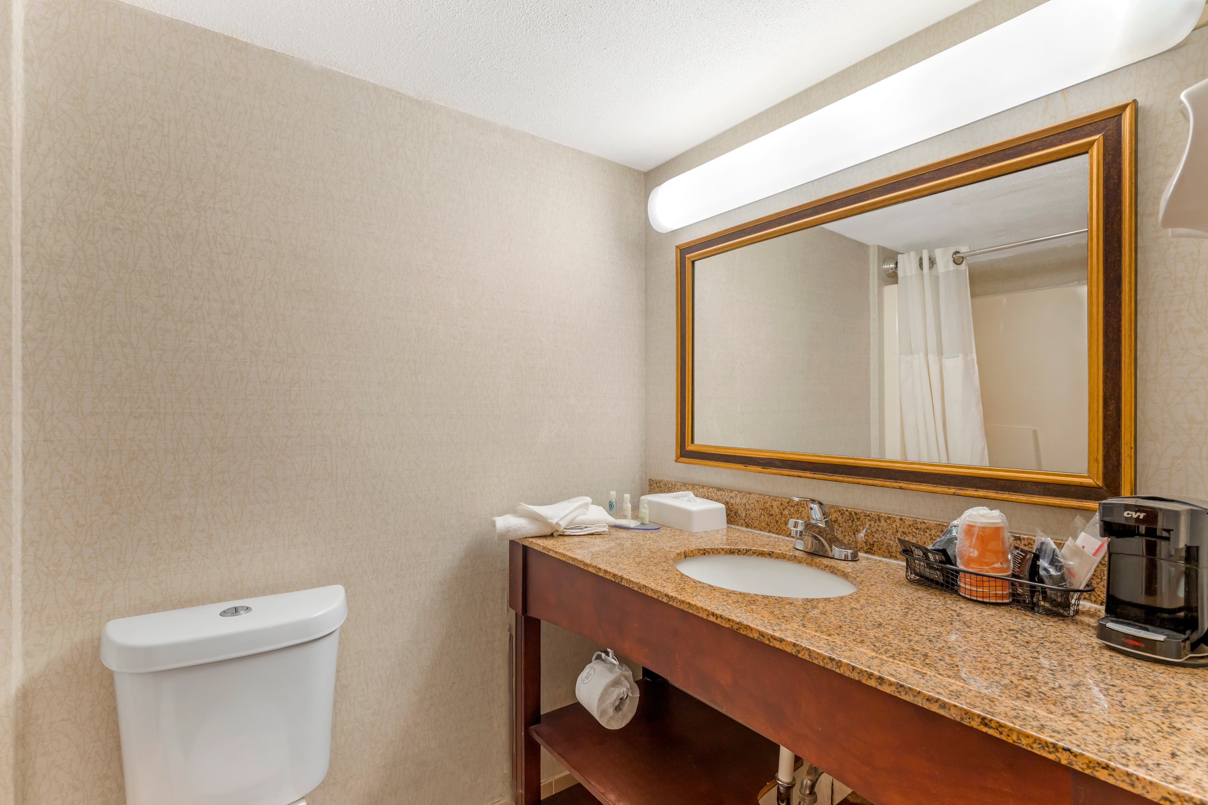 Clarion Hotel & Conference Center Lansing West - Image 5