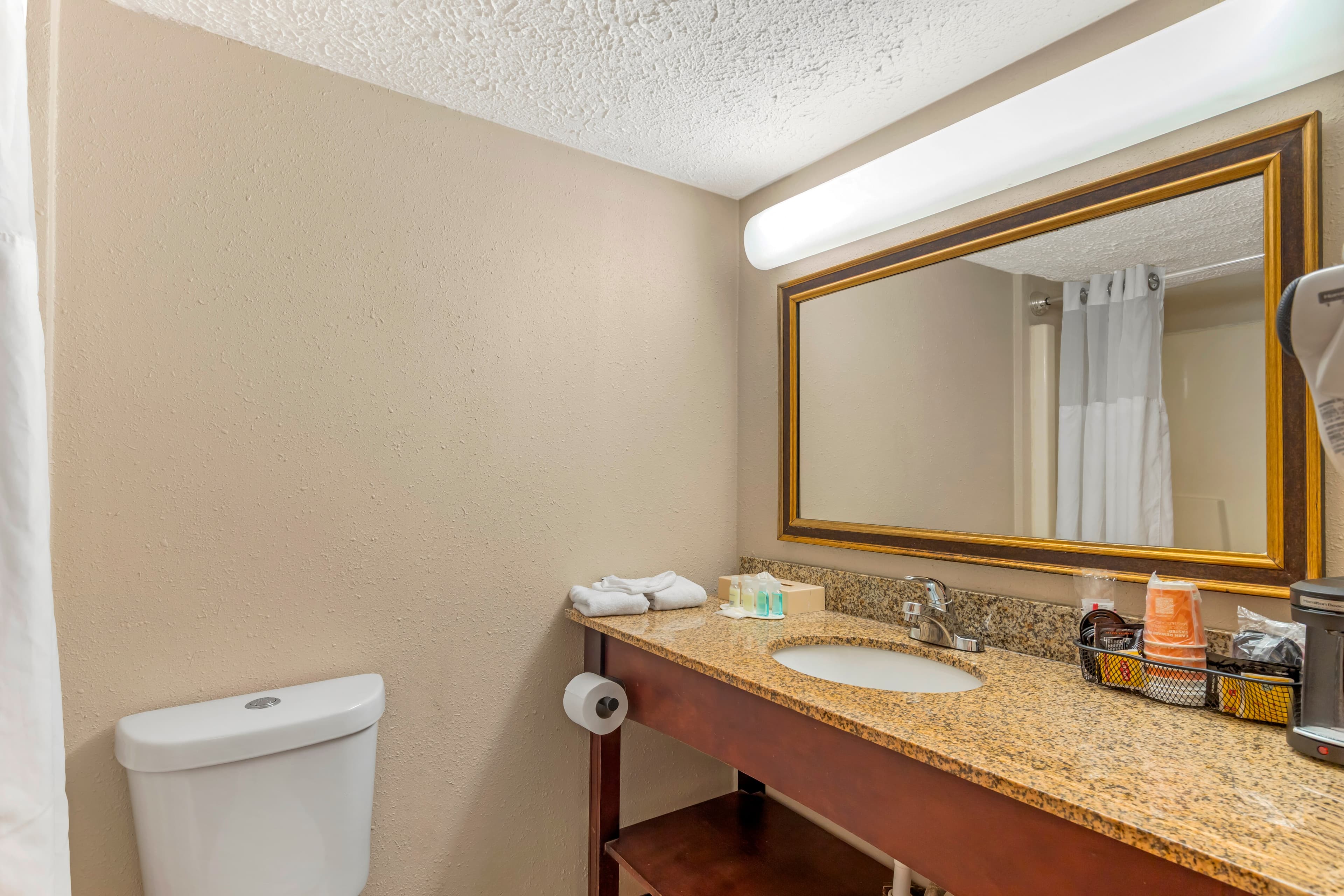 Clarion Hotel & Conference Center Lansing West — 17