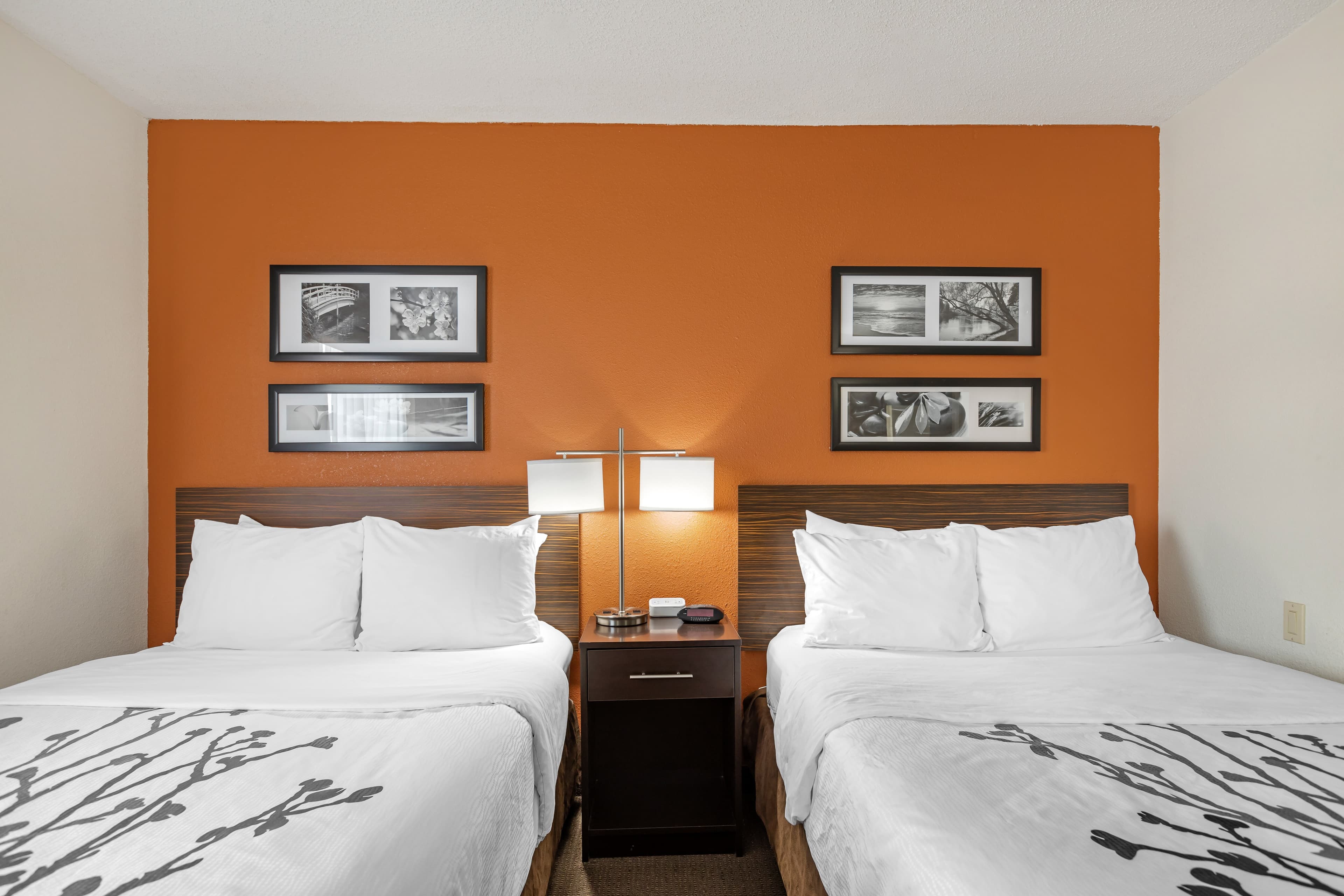 Sleep Inn DeWitt - Lansing North — 13