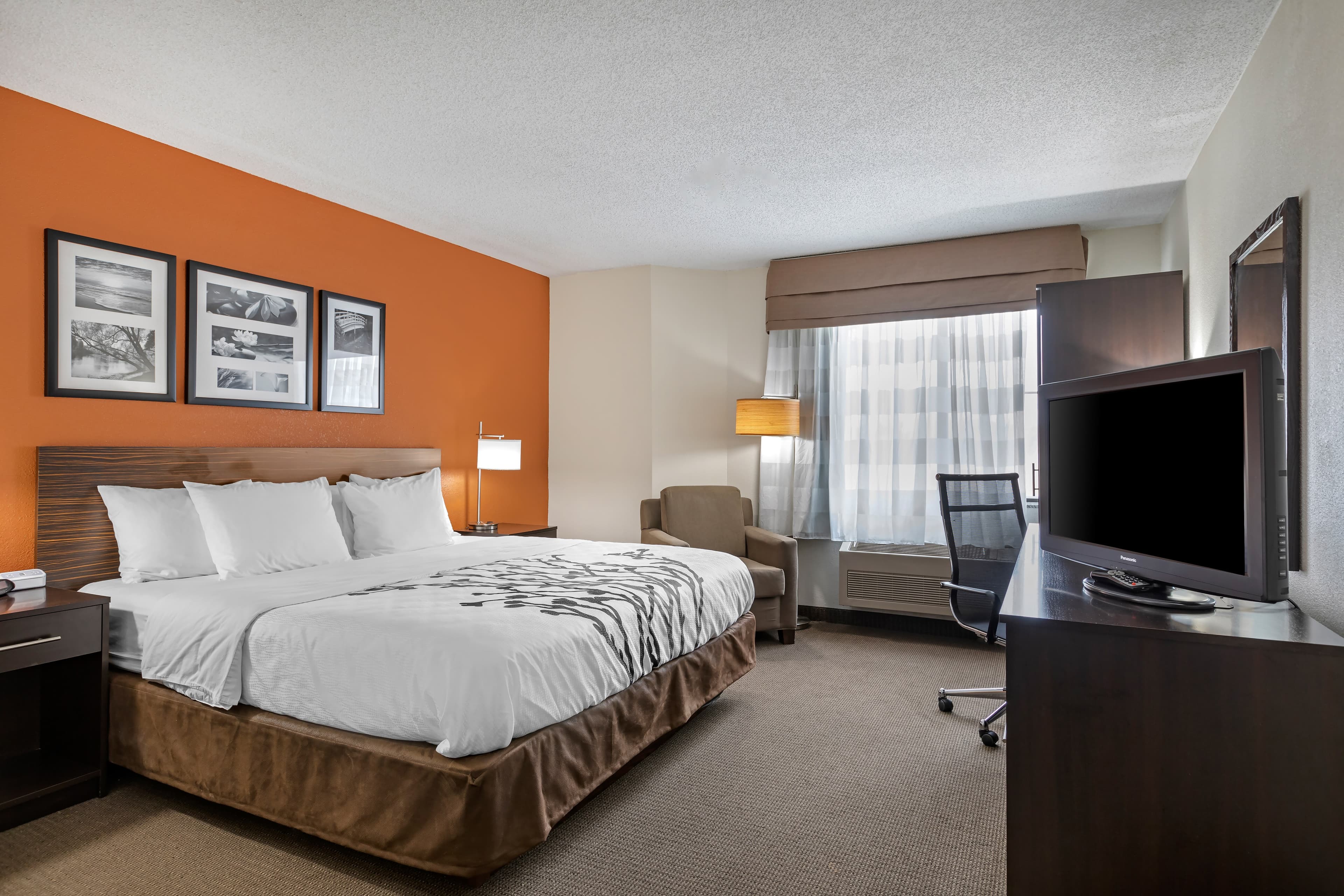 Sleep Inn DeWitt - Lansing North — 16